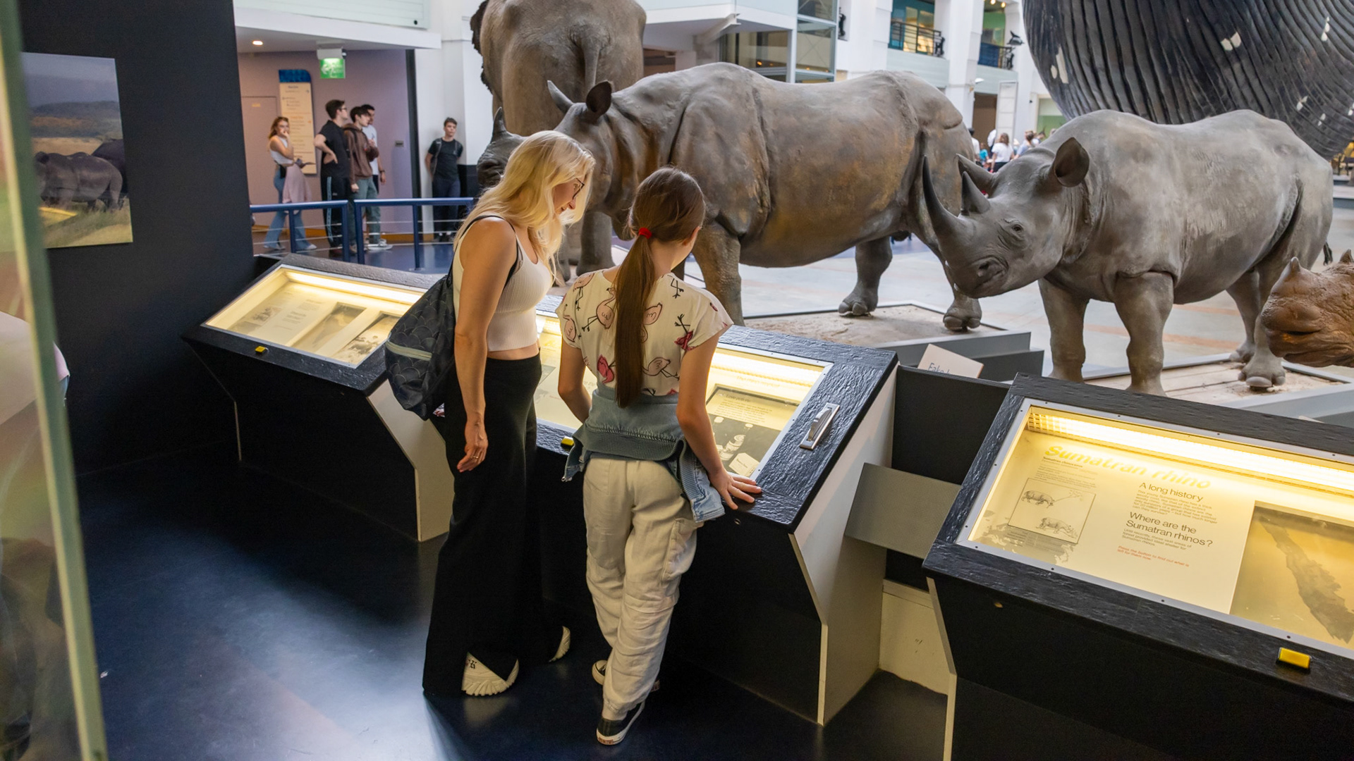 Natural History Museum. London, England. 2023.