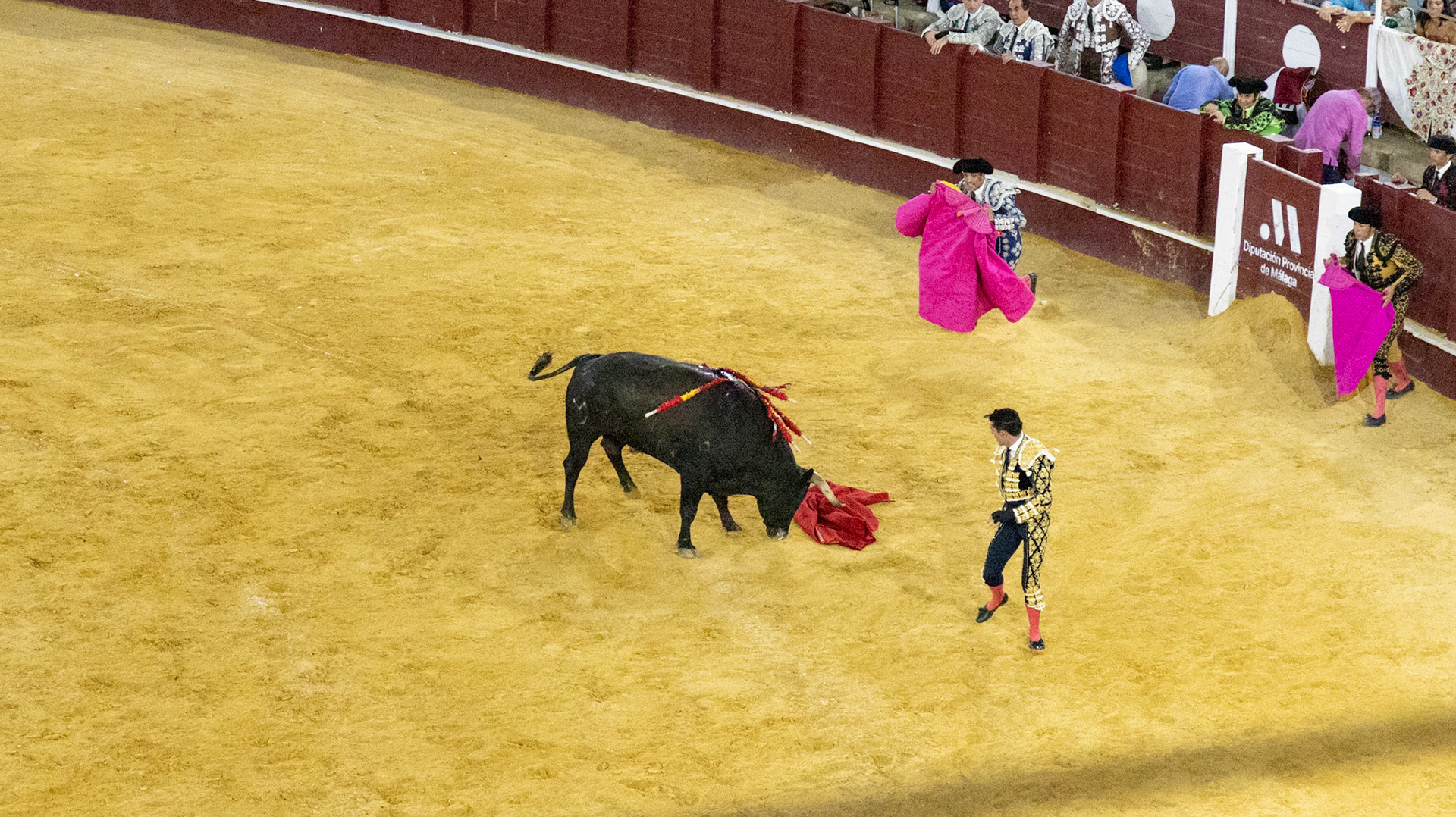 La Corrida de Málaga. Málaga, Spain. 2022.