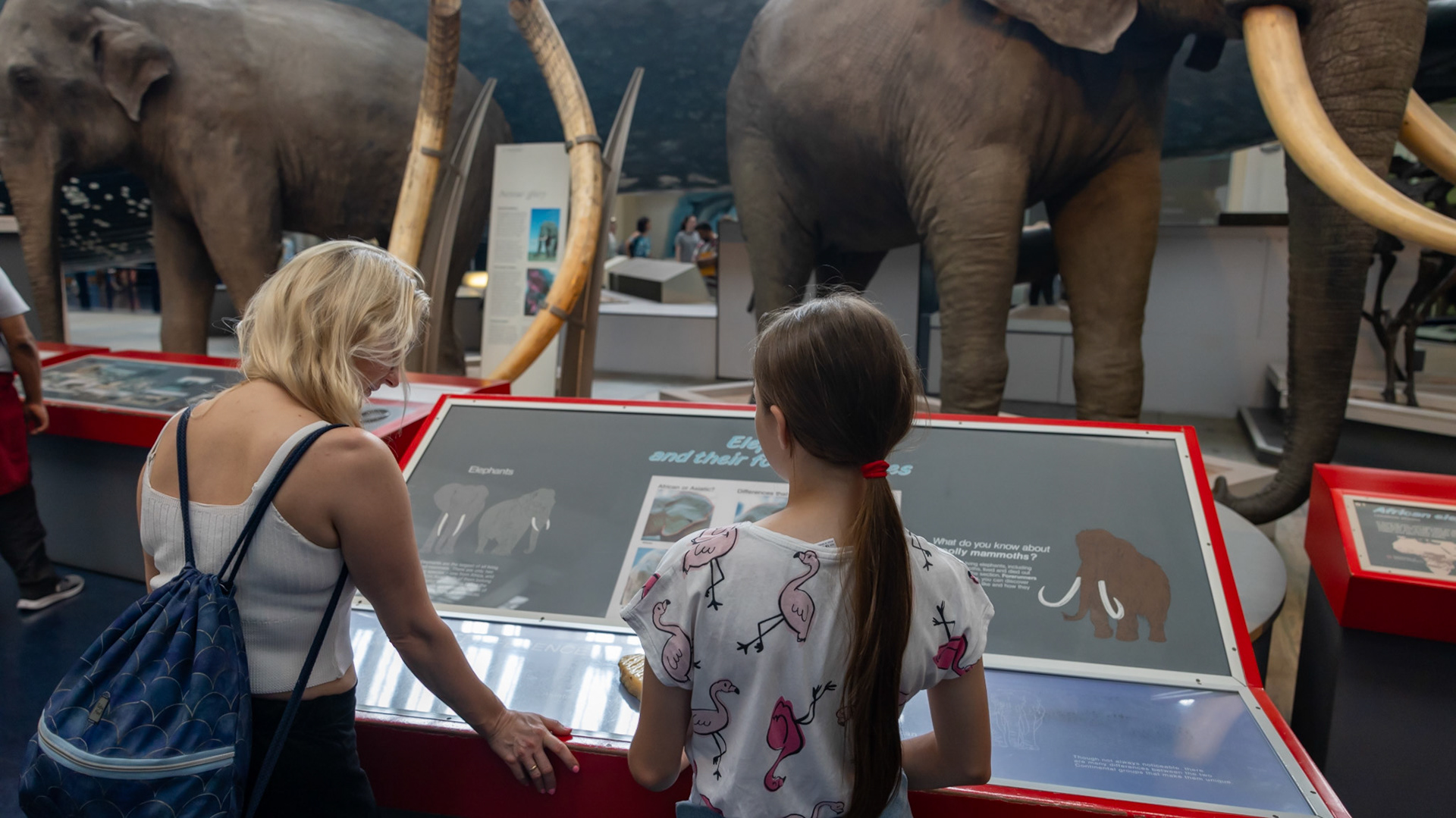Natural History Museum. London, England. 2023.