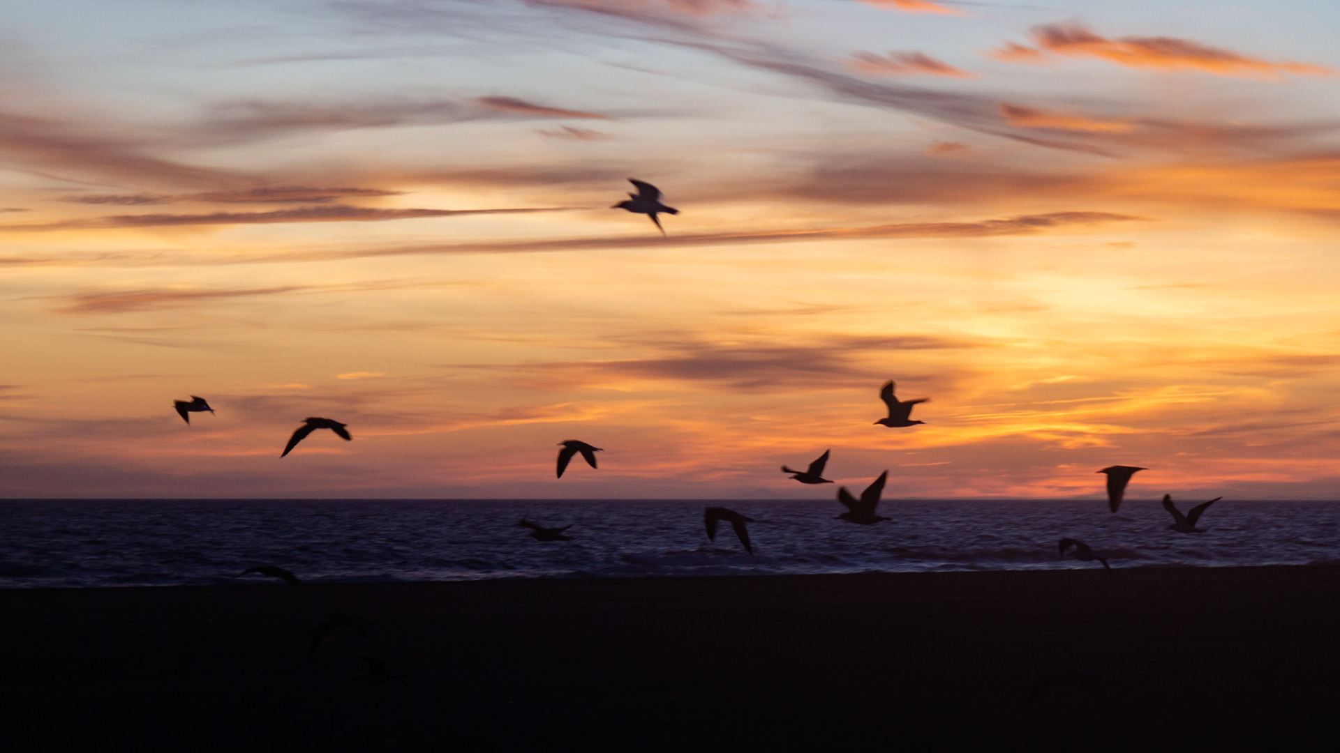 Punta Umbría, Spain. 2019.