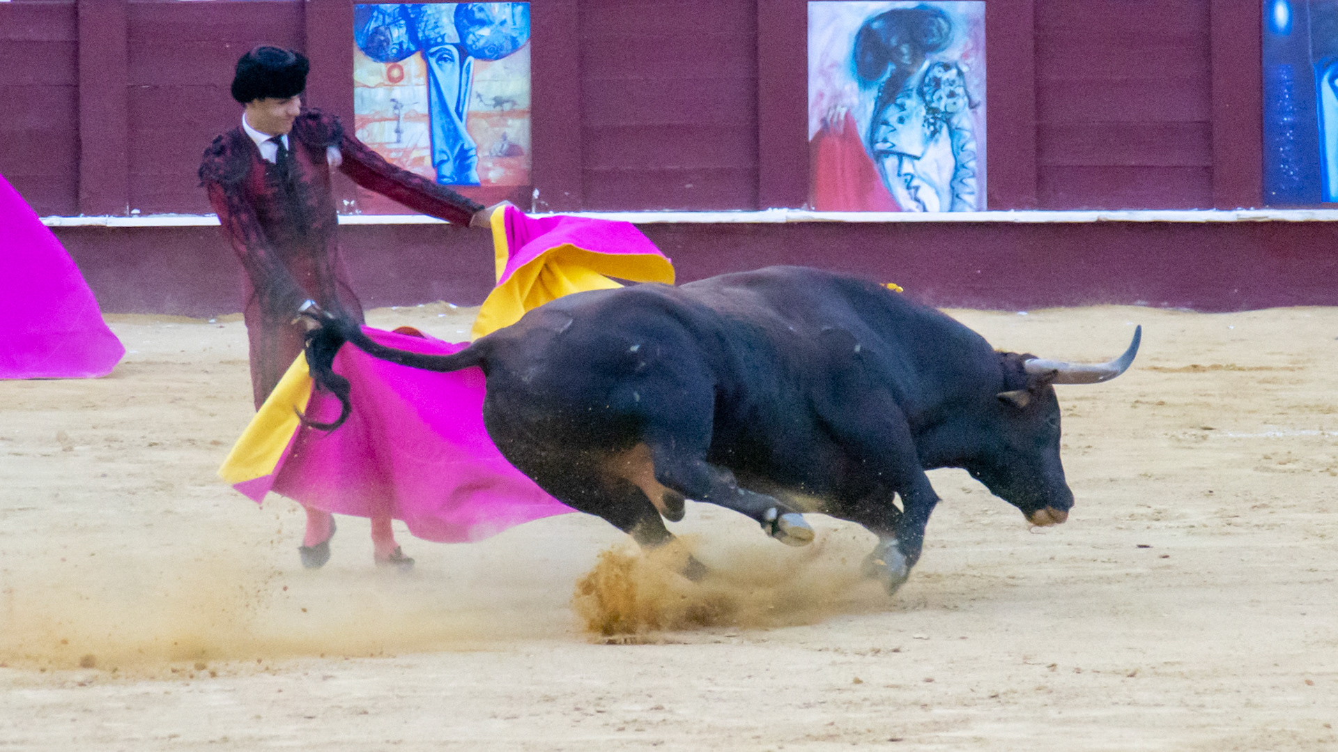La Corrida Picassiana de Málaga. Málaga, Spain. 2022.