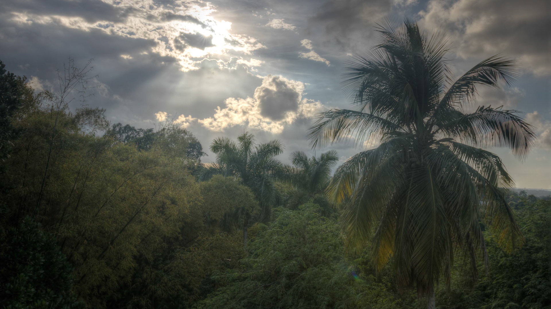 Finca Vigía. Havana. Republic of Cuba. 2017.