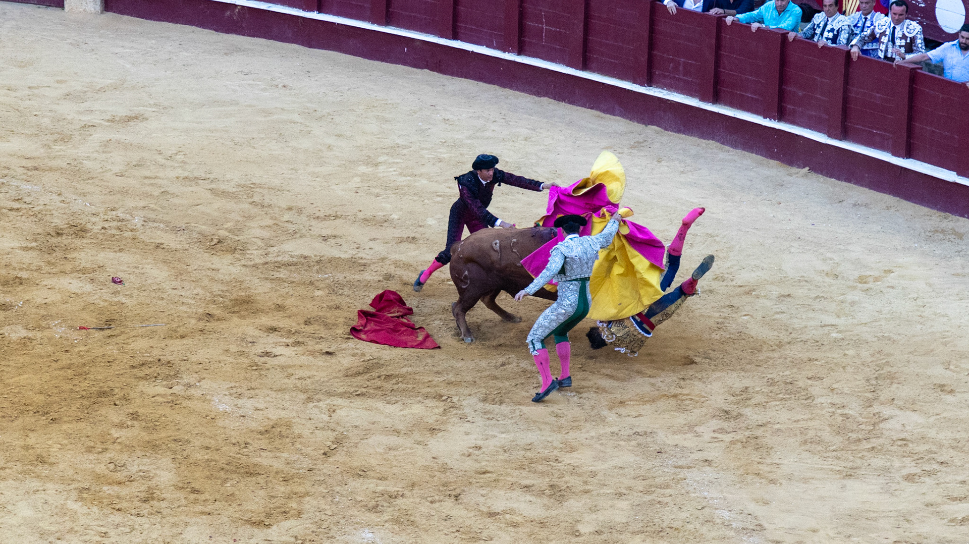 La Corrida de Málaga. Málaga, Spain. 2022.