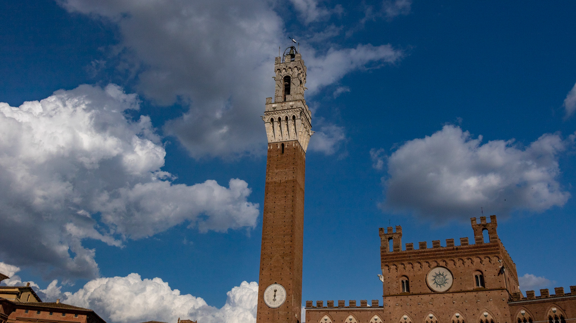 Piazza del Campo. Siena, Italy. 2018.