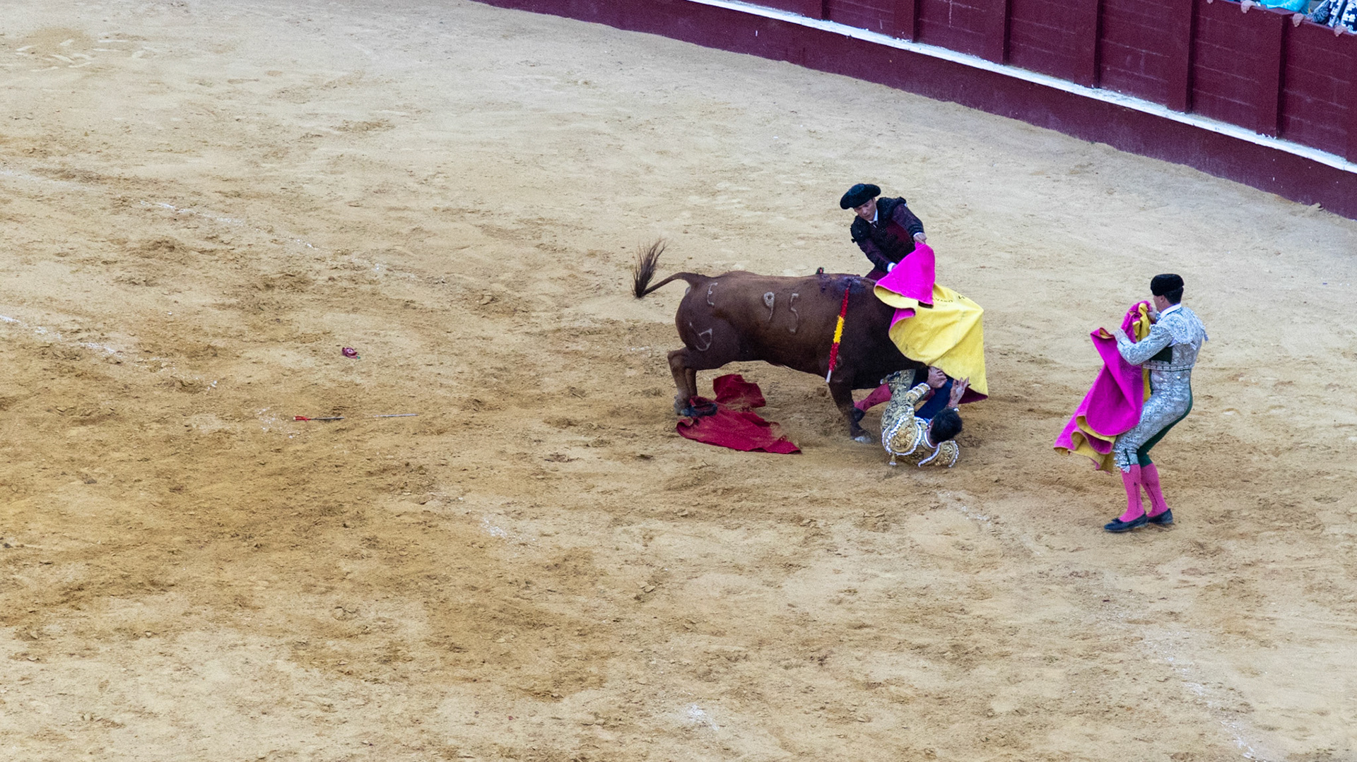 La Corrida de Málaga. Málaga, Spain. 2022.