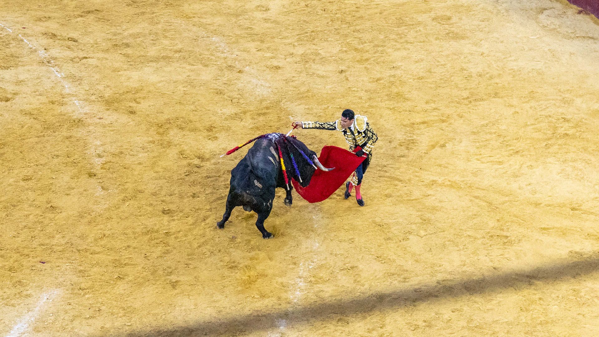 La Corrida de Málaga. Málaga, Spain. 2022.