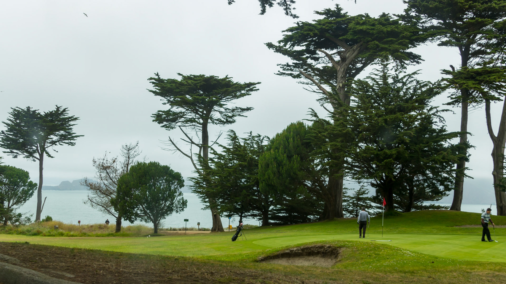 San Francisco. USA. 2015.