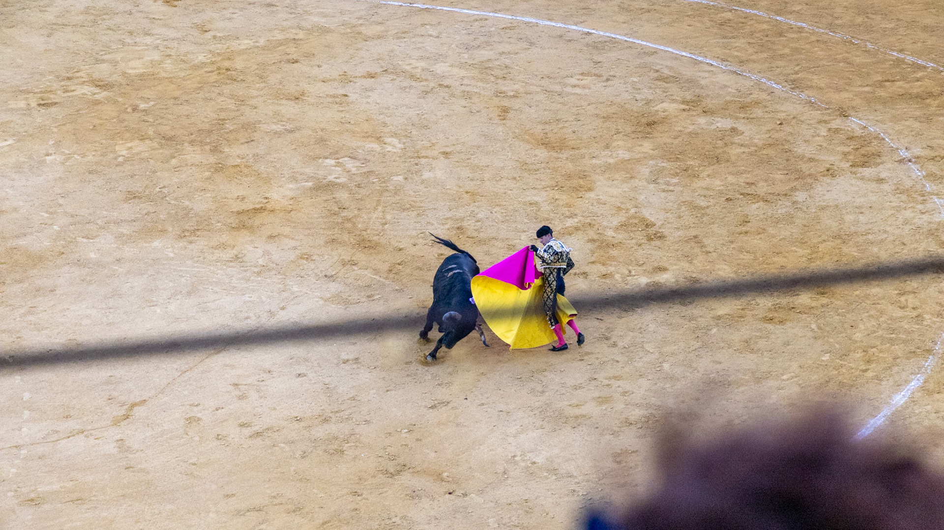 La Corrida de Málaga. Málaga, Spain. 2022.