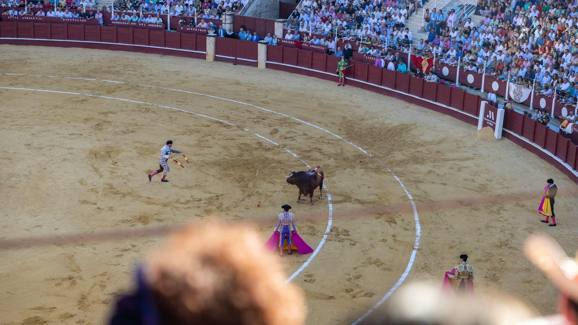 La Corrida de Málaga. Málaga, Spain. 2022.