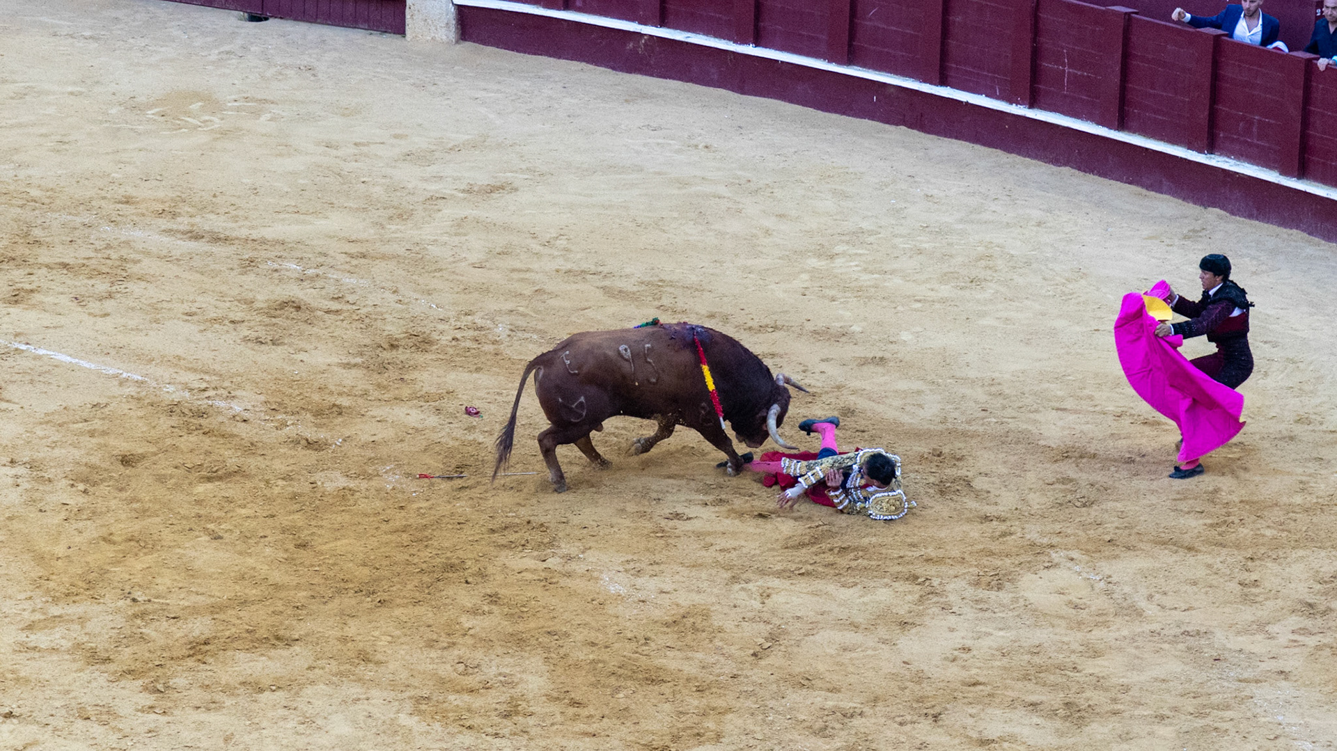 La Corrida de Málaga. Málaga, Spain. 2022.