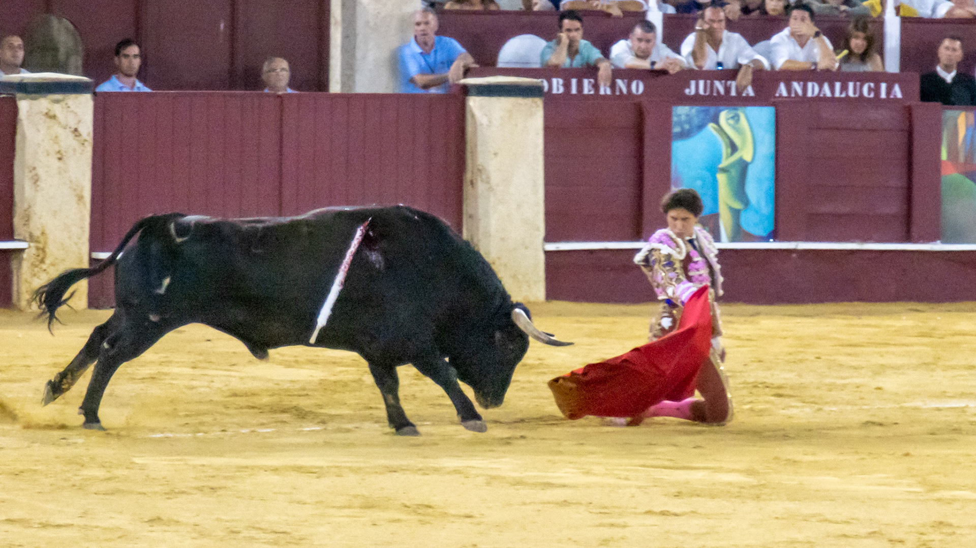 La Corrida Picassiana de Málaga. Málaga, Spain. 2022.