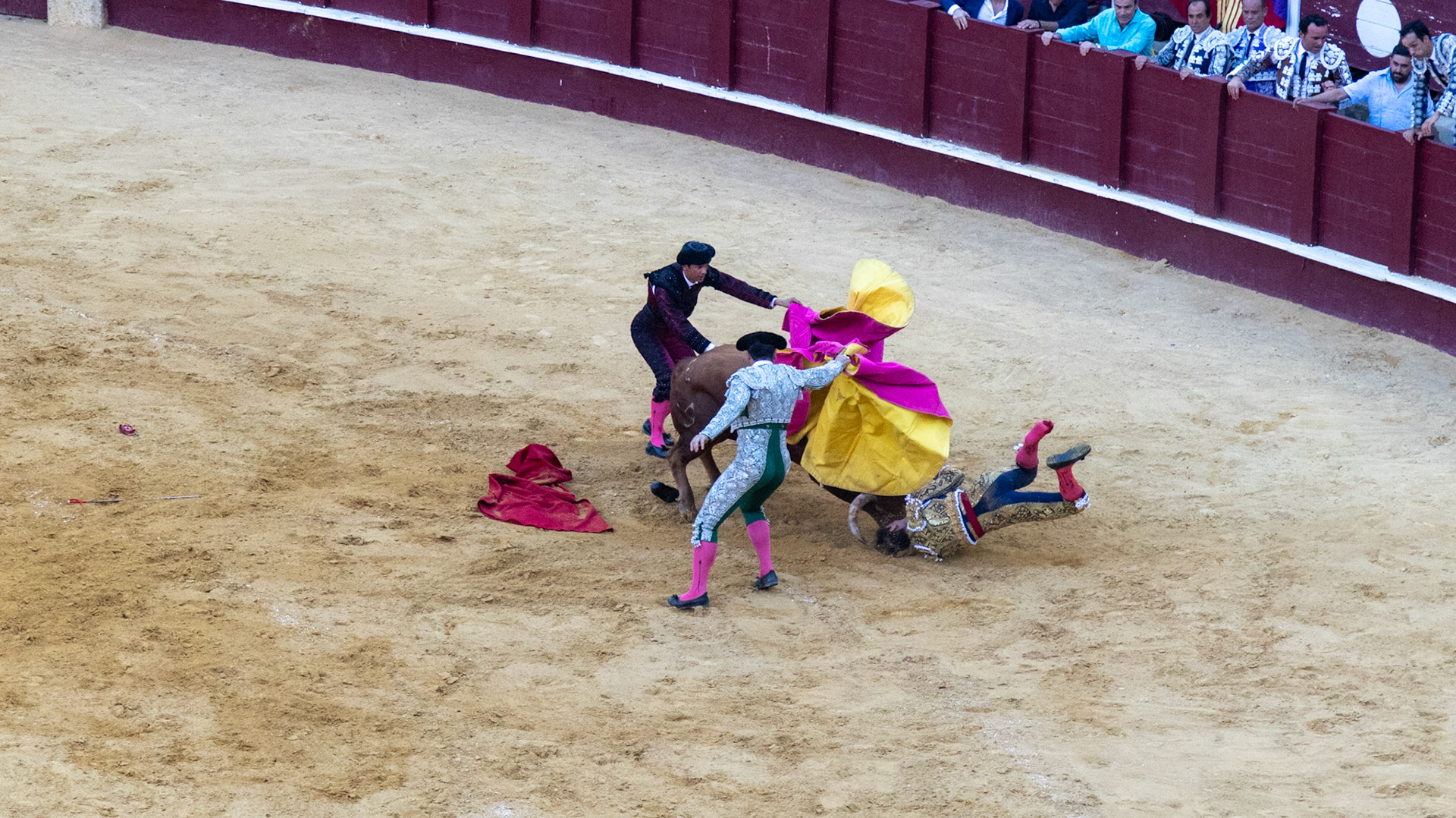 La Corrida de Málaga. Málaga, Spain. 2022.