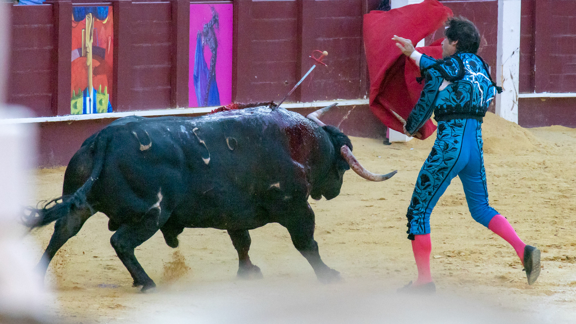 La Corrida Picassiana de Málaga. Málaga, Spain. 2022.