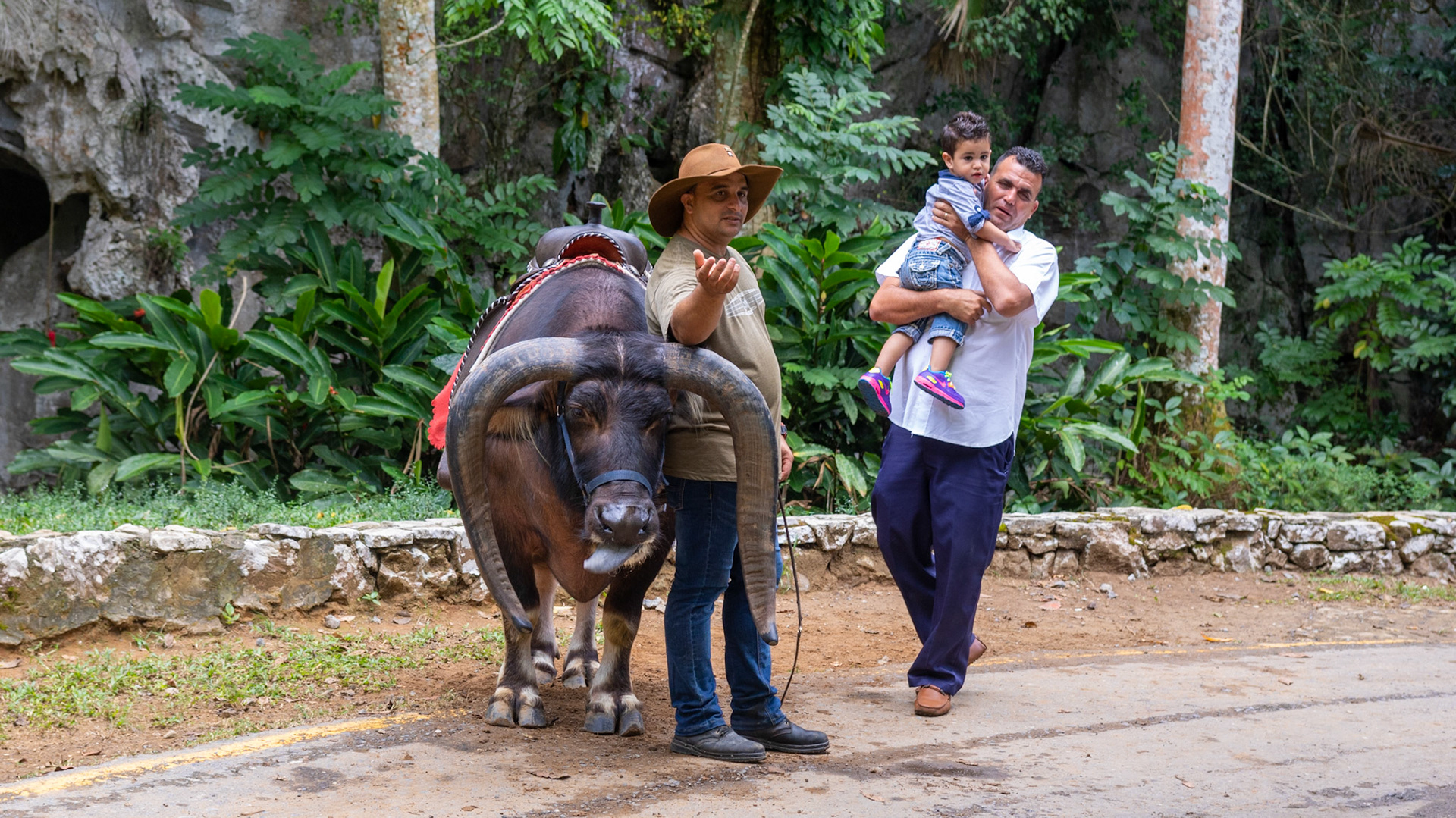 Pinar del Rio