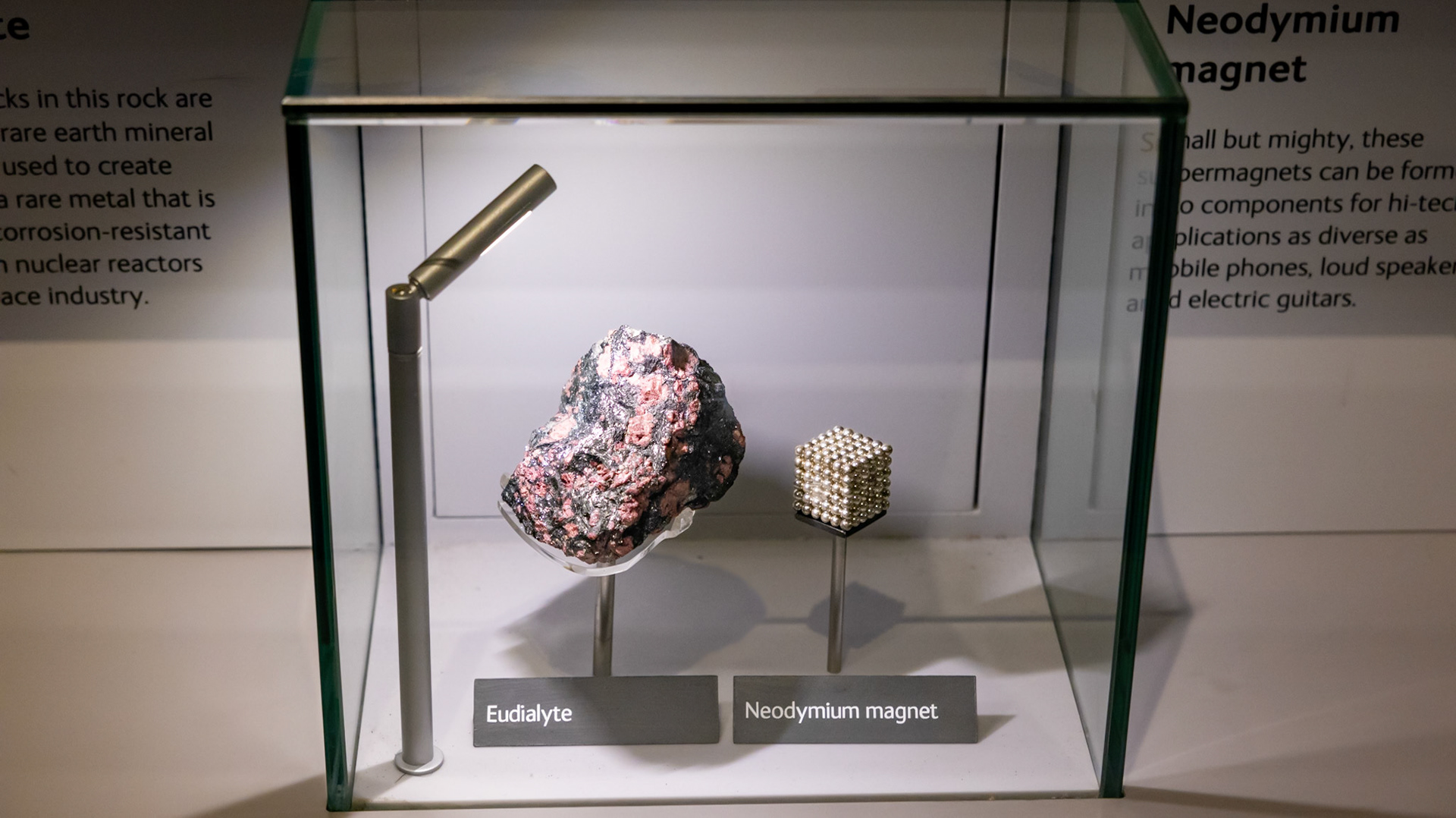 Natural History Museum. London, England. 2023.
