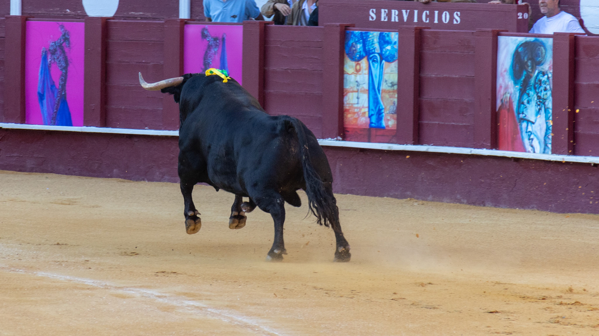 La Corrida Picassiana de Málaga. Málaga, Spain. 2022.