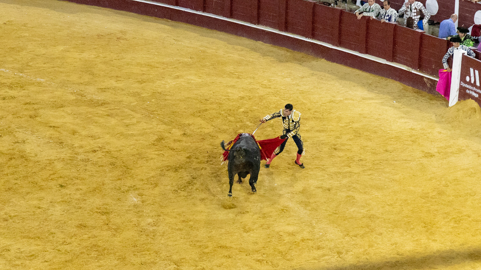 La Corrida de Málaga. Málaga, Spain. 2022.