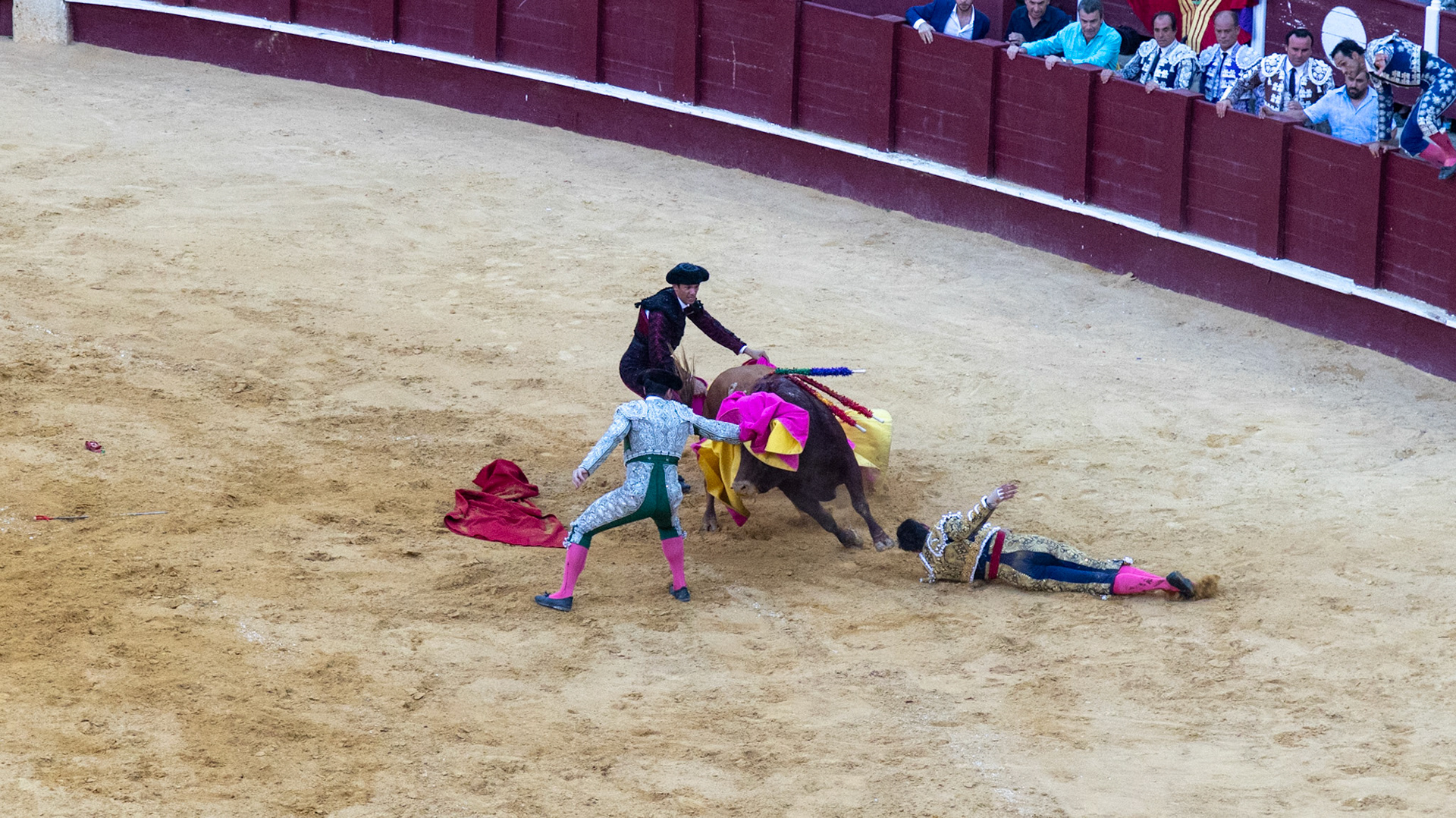 La Corrida de Málaga. Málaga, Spain. 2022.
