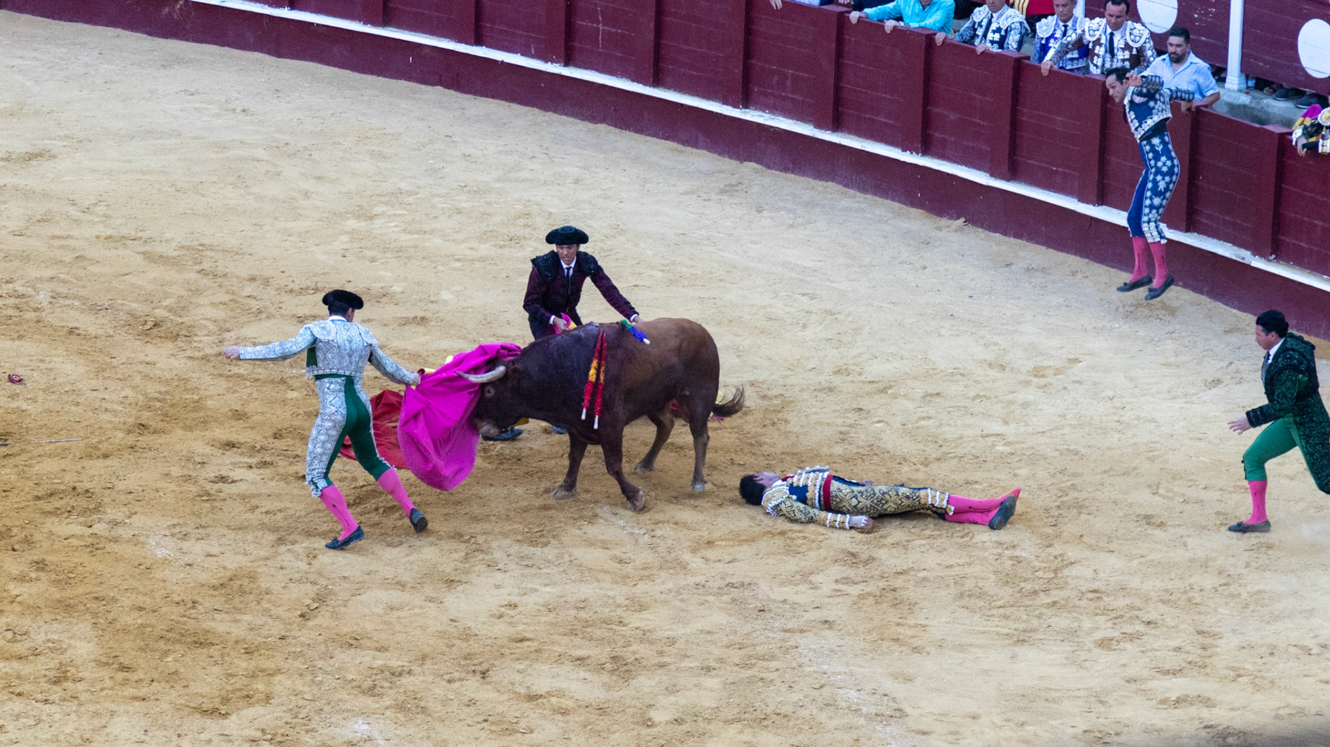 La Corrida de Málaga. Málaga, Spain. 2022.
