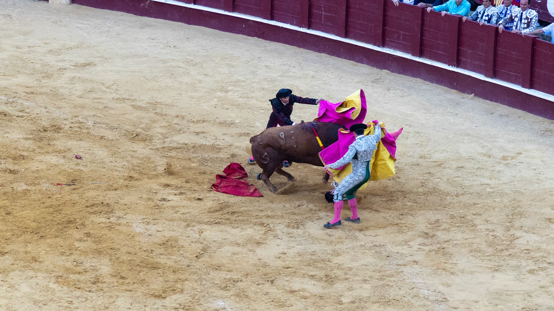 La Corrida de Málaga. Málaga, Spain. 2022.