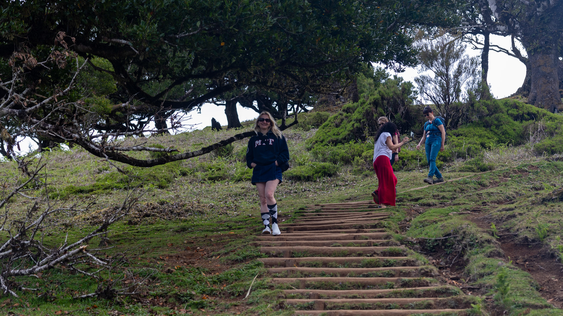 Parque Florestal do Fanal. Madeira, Portugal. 2024.