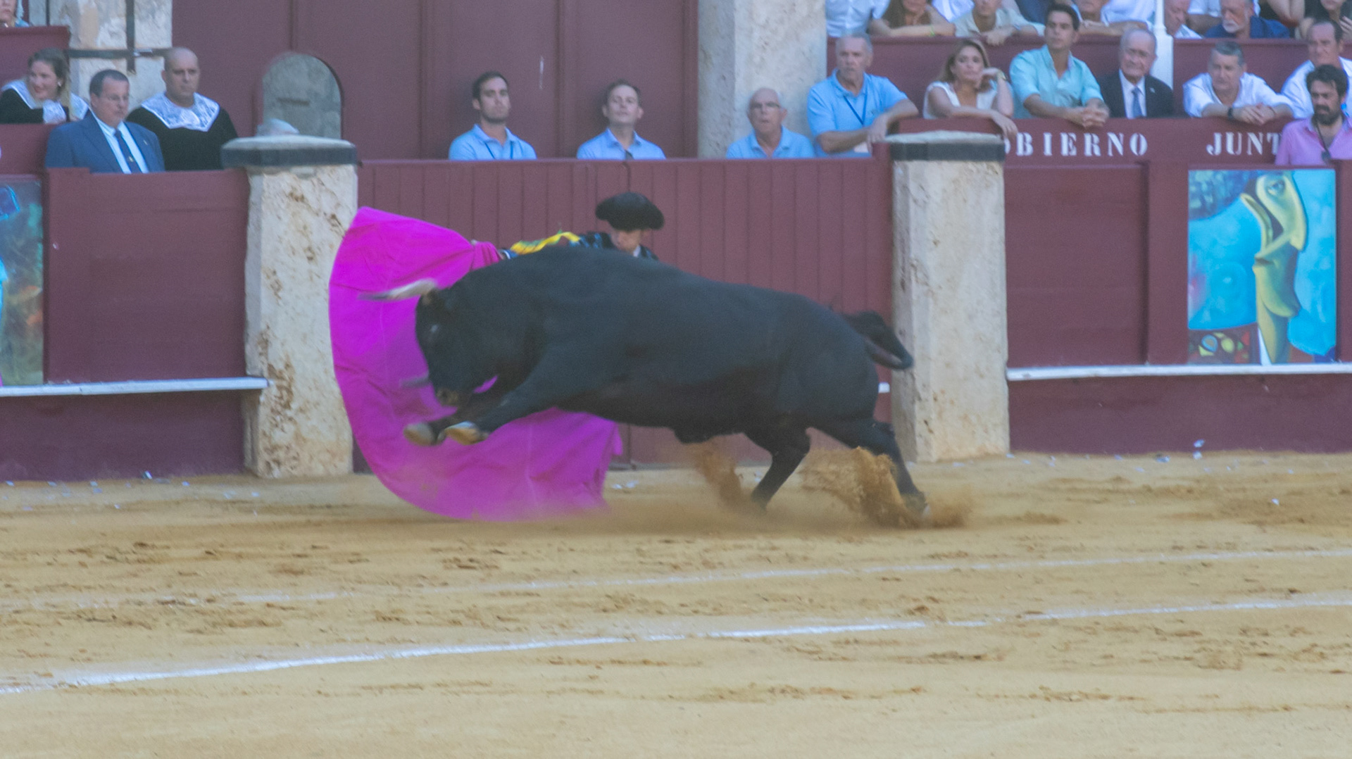 La Corrida Picassiana de Málaga. Málaga, Spain. 2022.