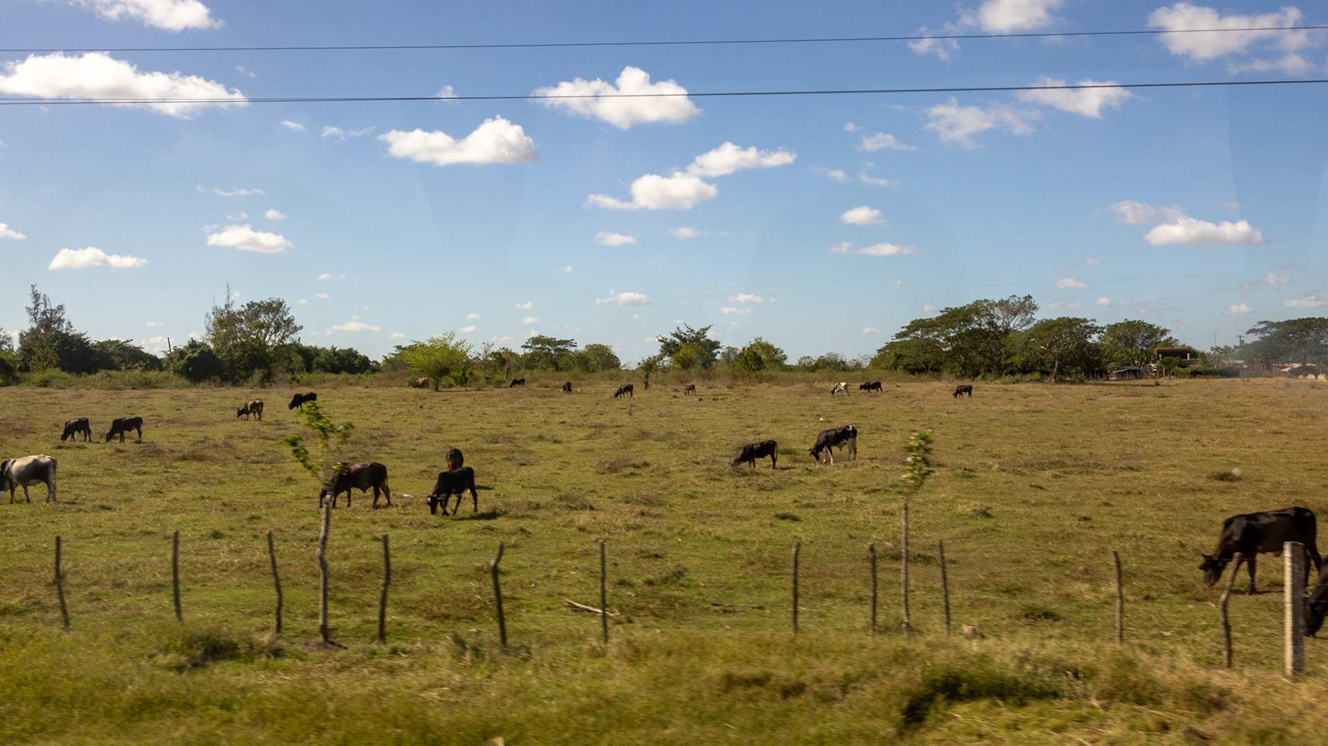 Camaguey