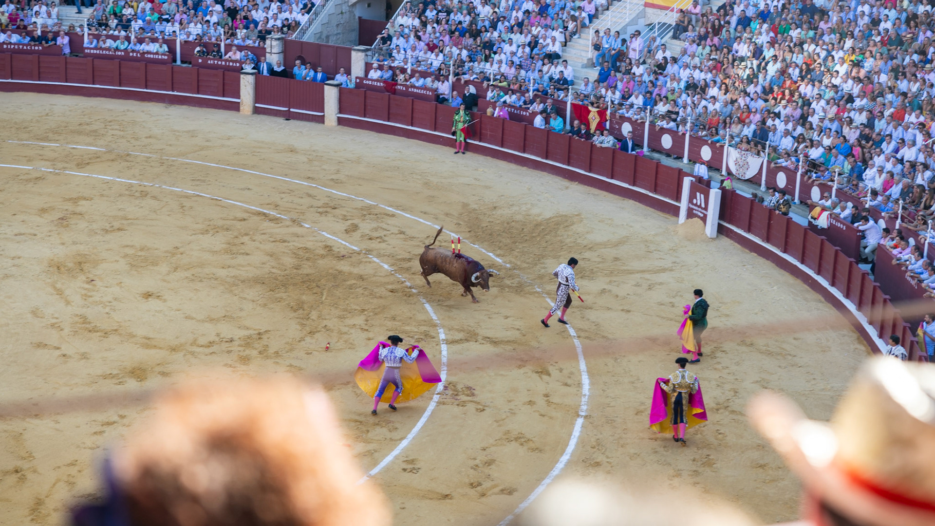 La Corrida de Málaga. Málaga, Spain. 2022.