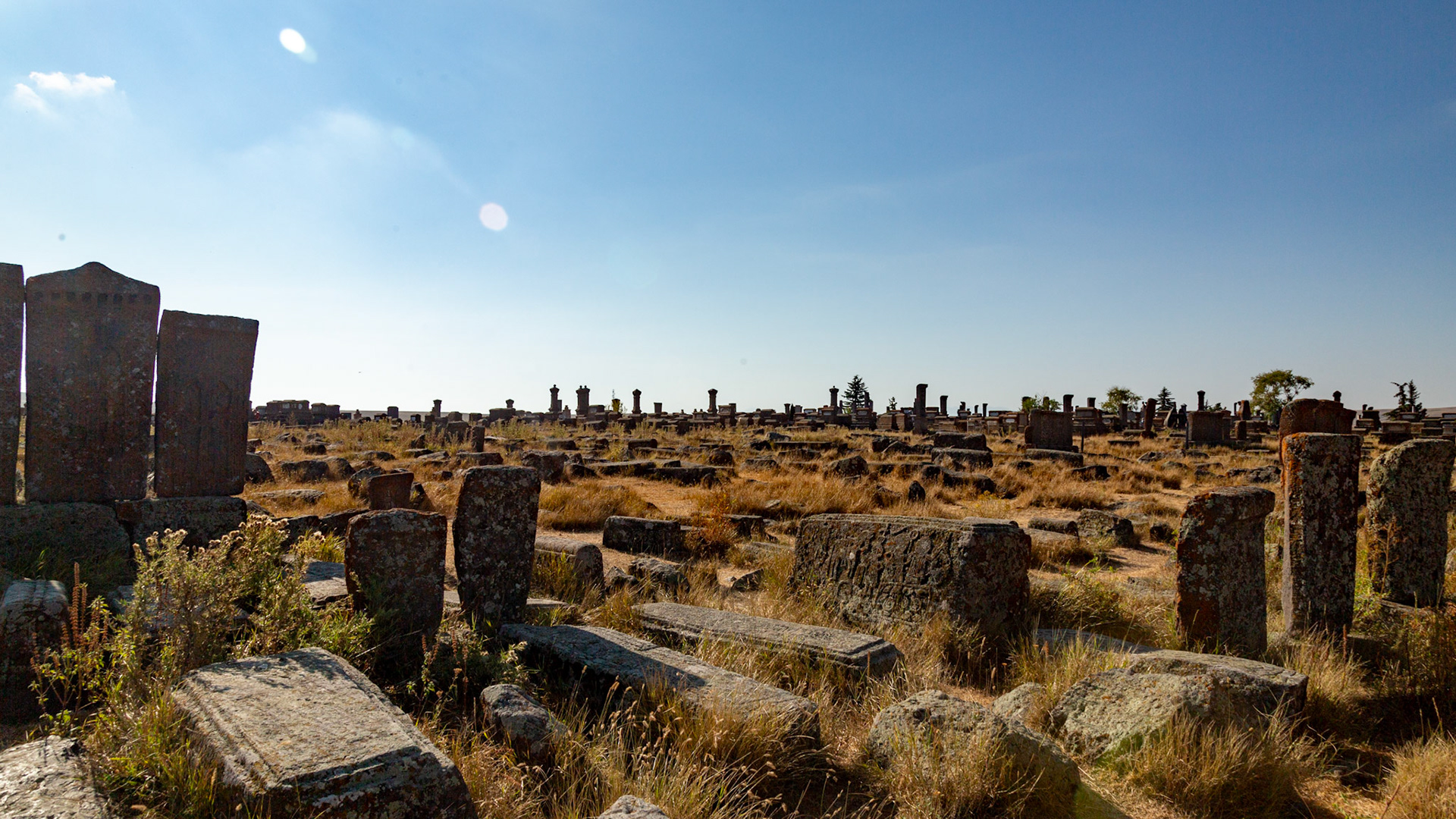 Noratus, Armenia. 2019.