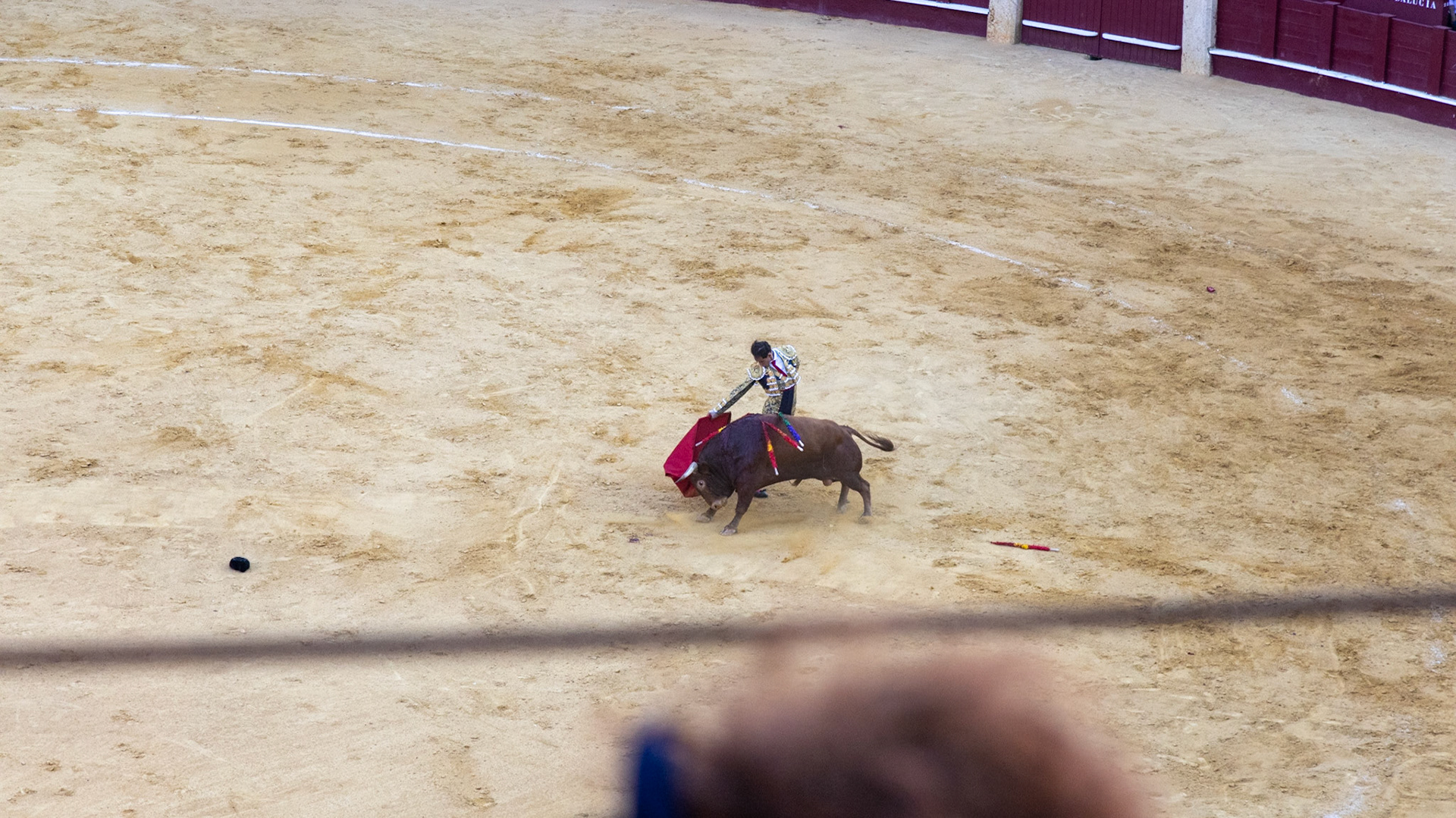 La Corrida de Málaga. Málaga, Spain. 2022.