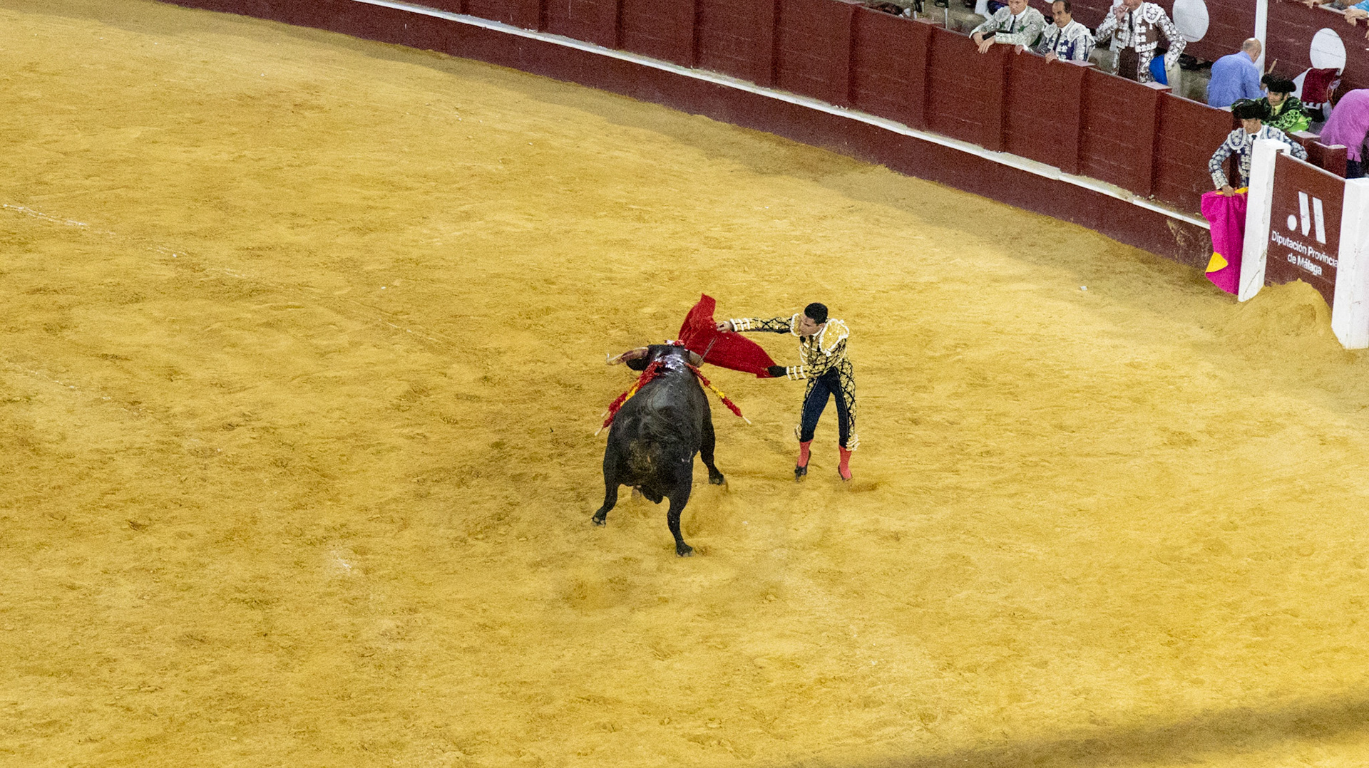 La Corrida de Málaga. Málaga, Spain. 2022.