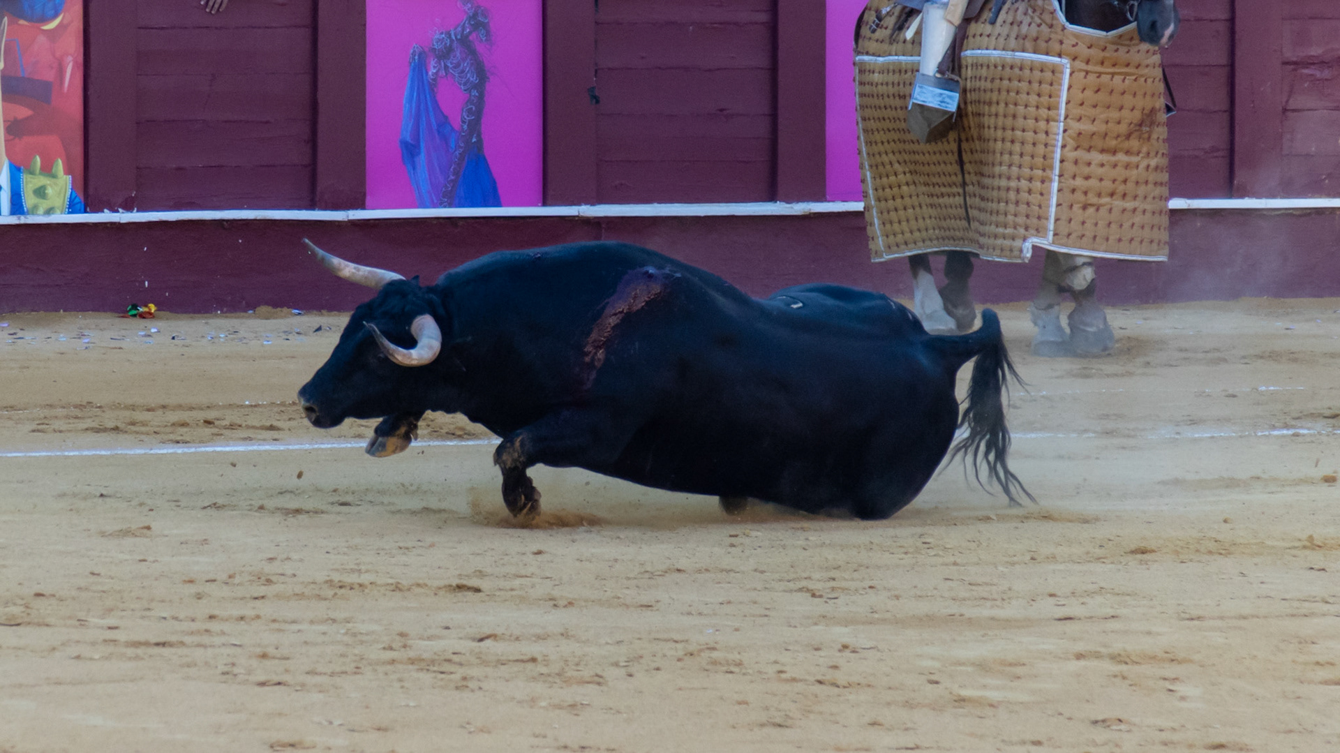La Corrida Picassiana de Málaga. Málaga, Spain. 2022.