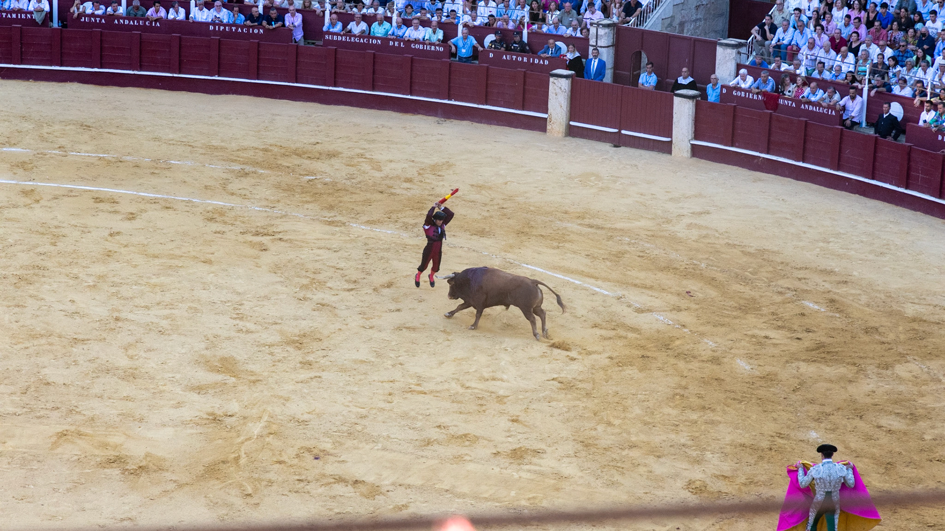 La Corrida de Málaga. Málaga, Spain. 2022.