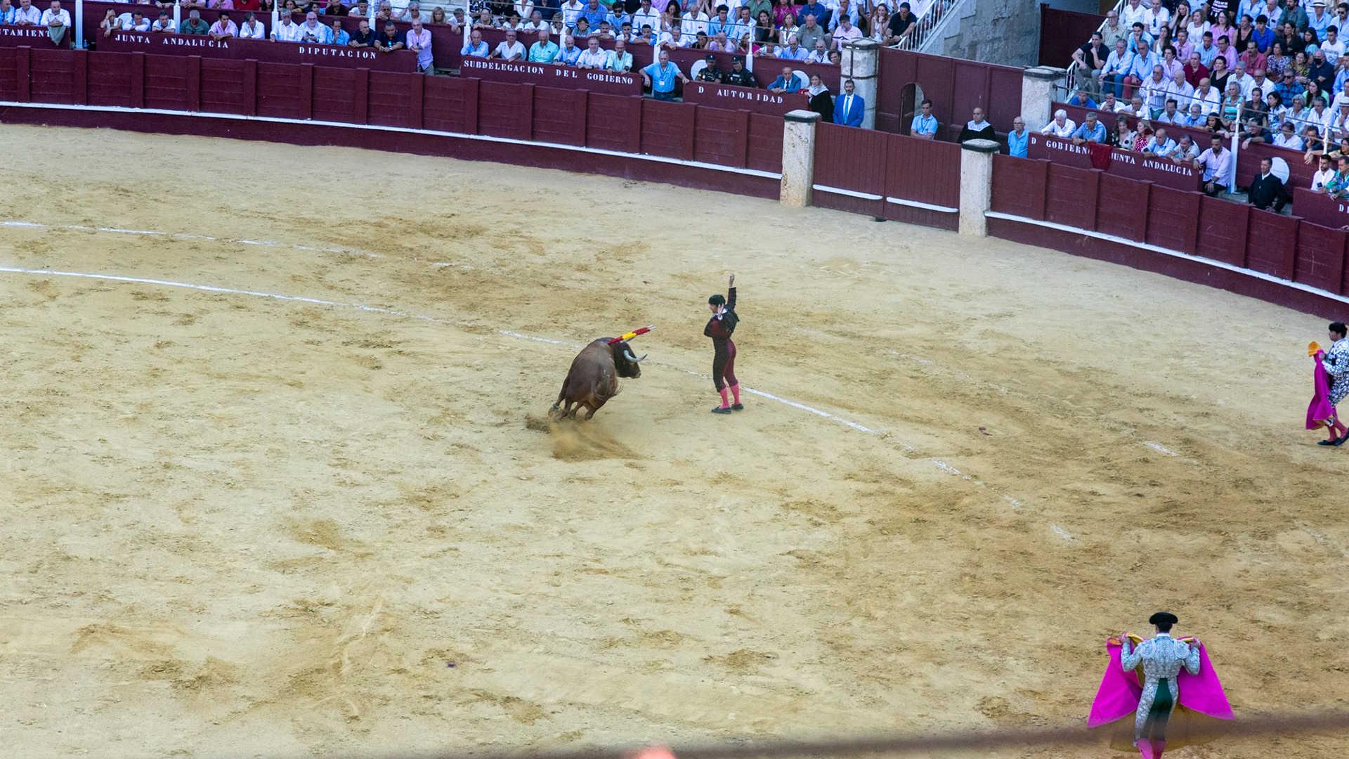 La Corrida de Málaga. Málaga, Spain. 2022.