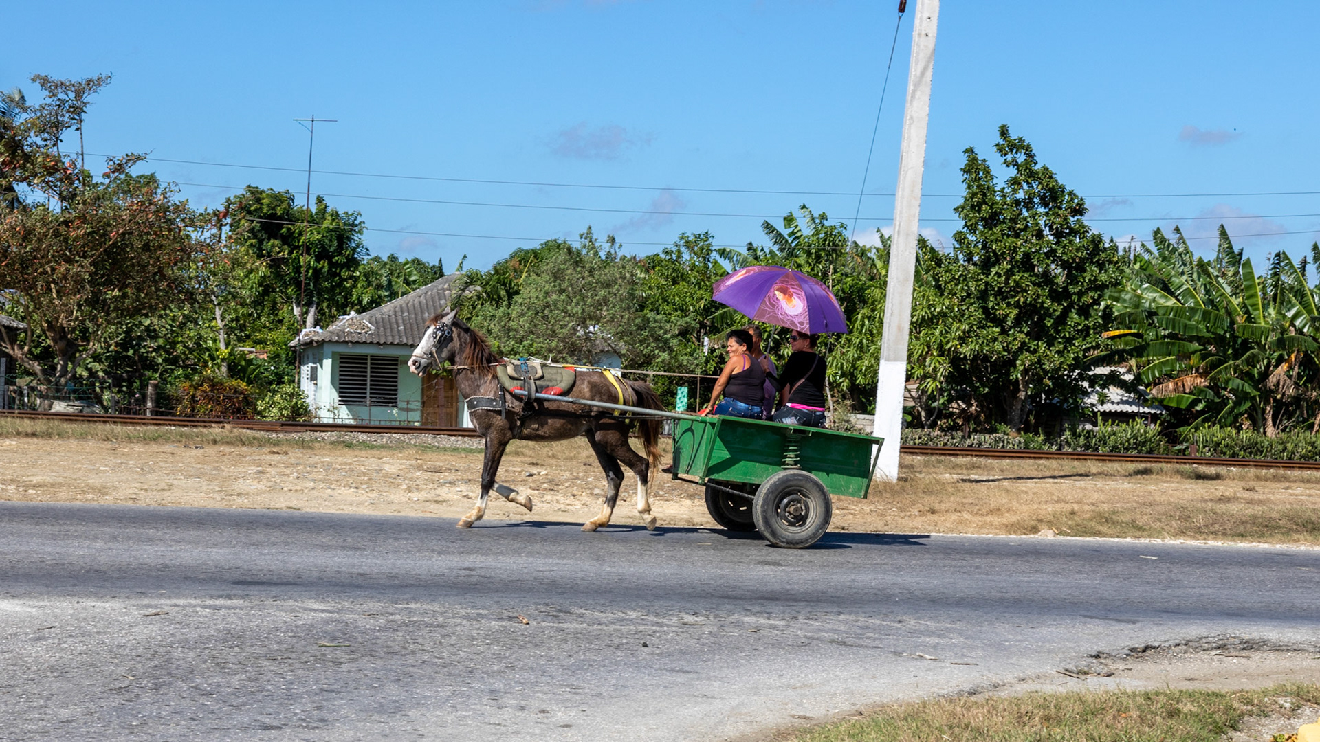 Holguin