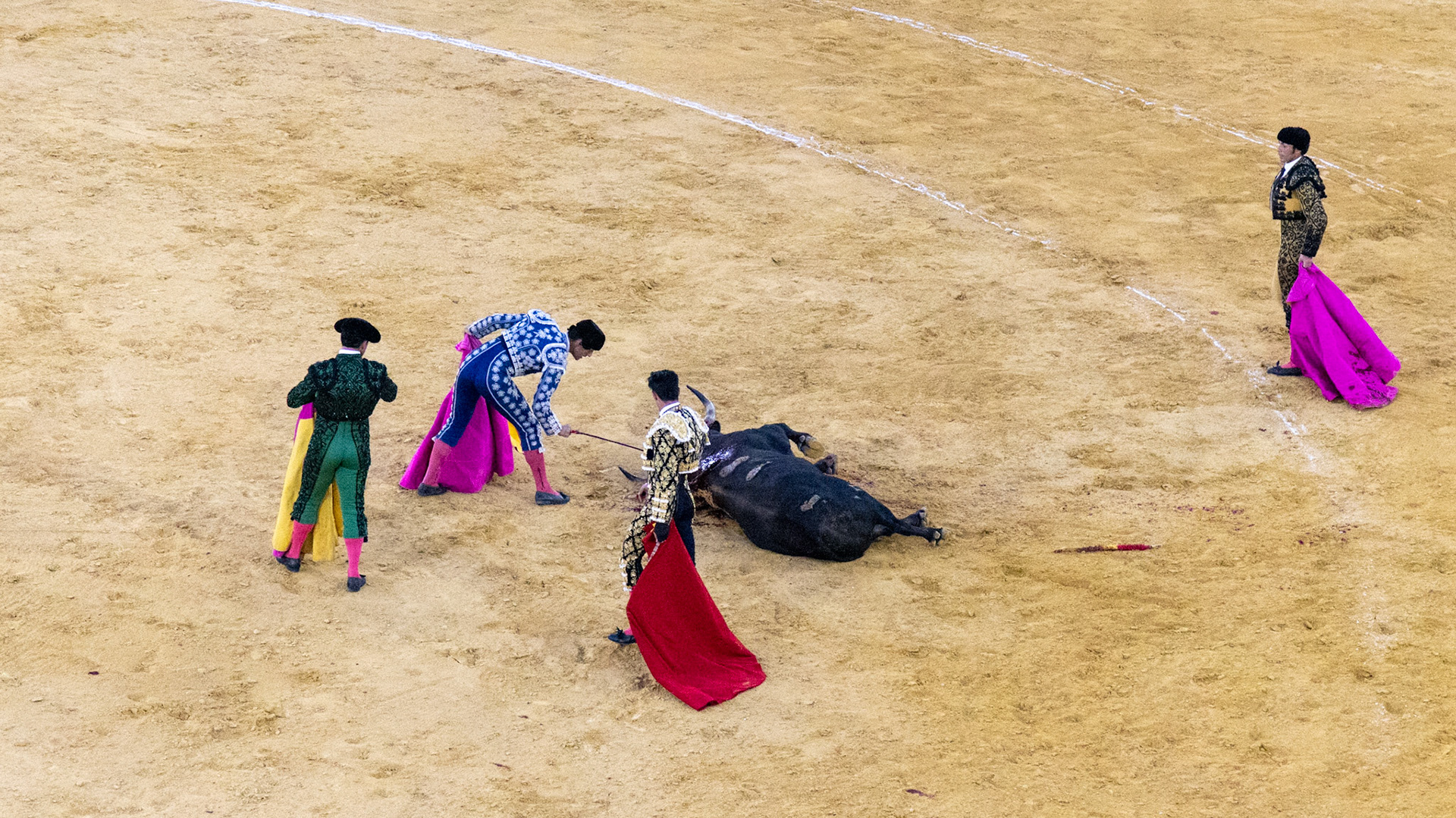 La Corrida de Málaga. Málaga, Spain. 2022.
