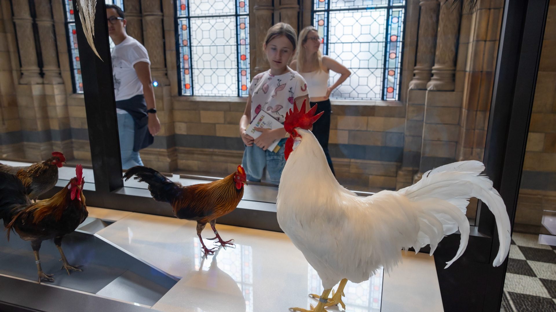 Natural History Museum. London, England. 2023.