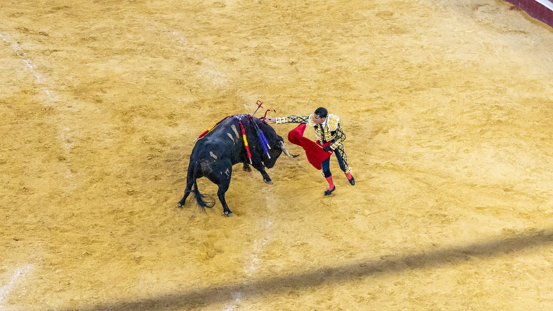 La Corrida de Málaga. Málaga, Spain. 2022.
