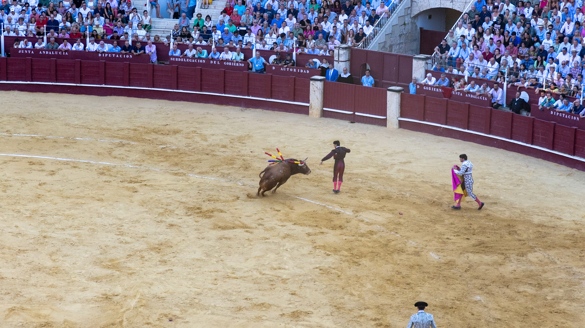 La Corrida de Málaga. Málaga, Spain. 2022.