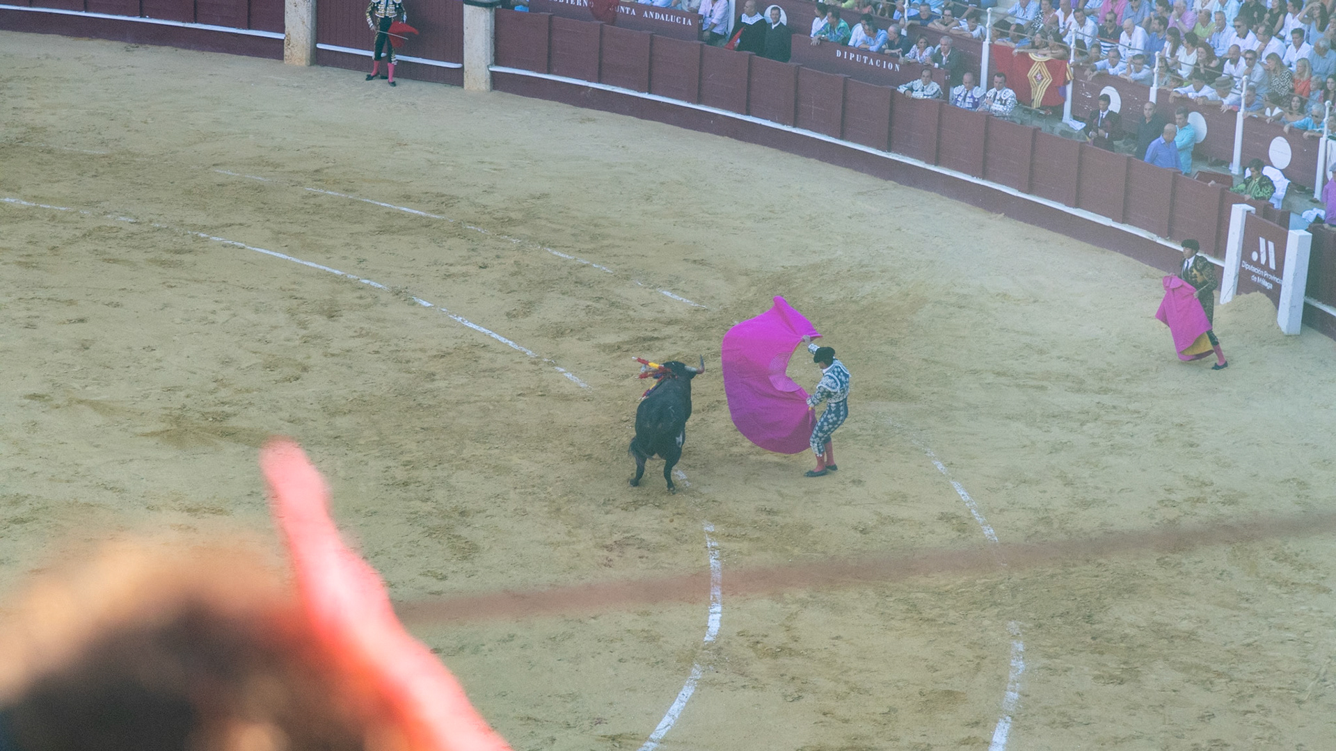 La Corrida de Málaga. Málaga, Spain. 2022.