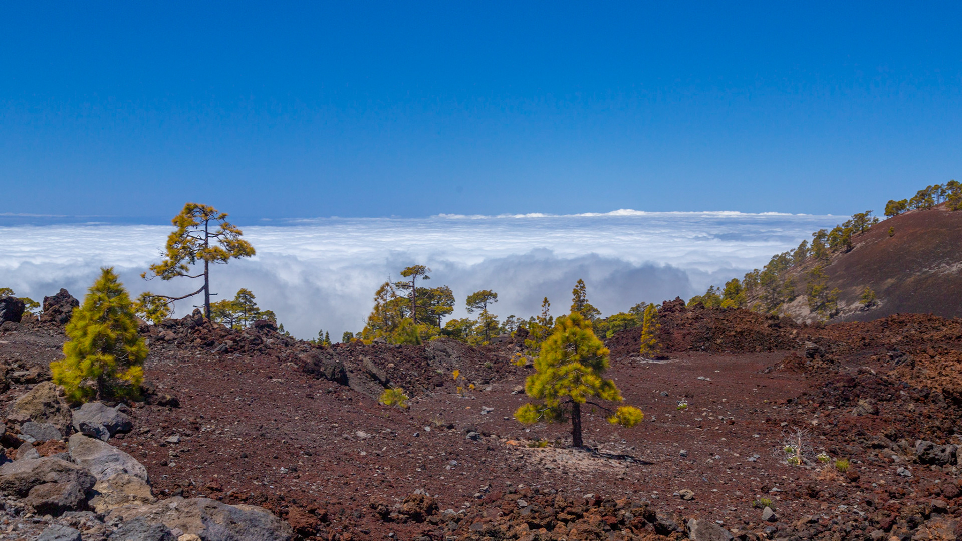 Tenerife, Spain. 2018.