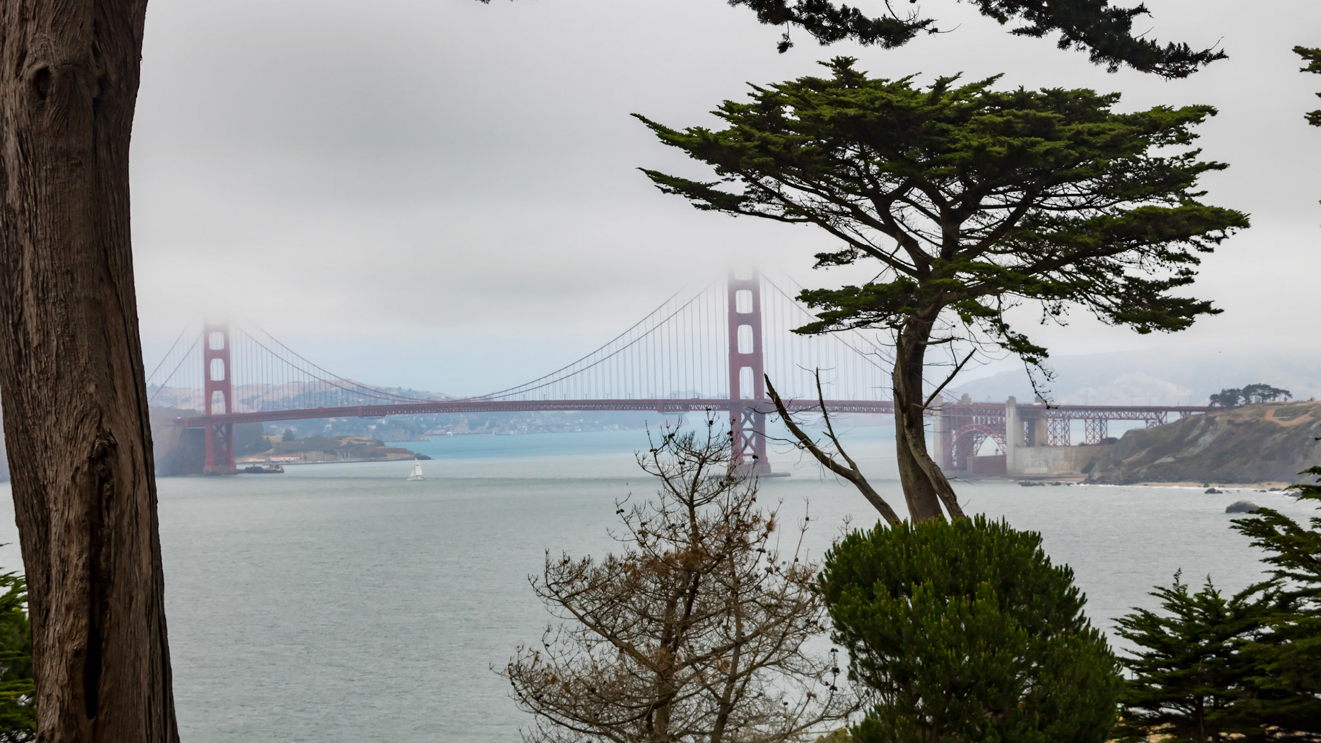 San Francisco. USA. 2015.