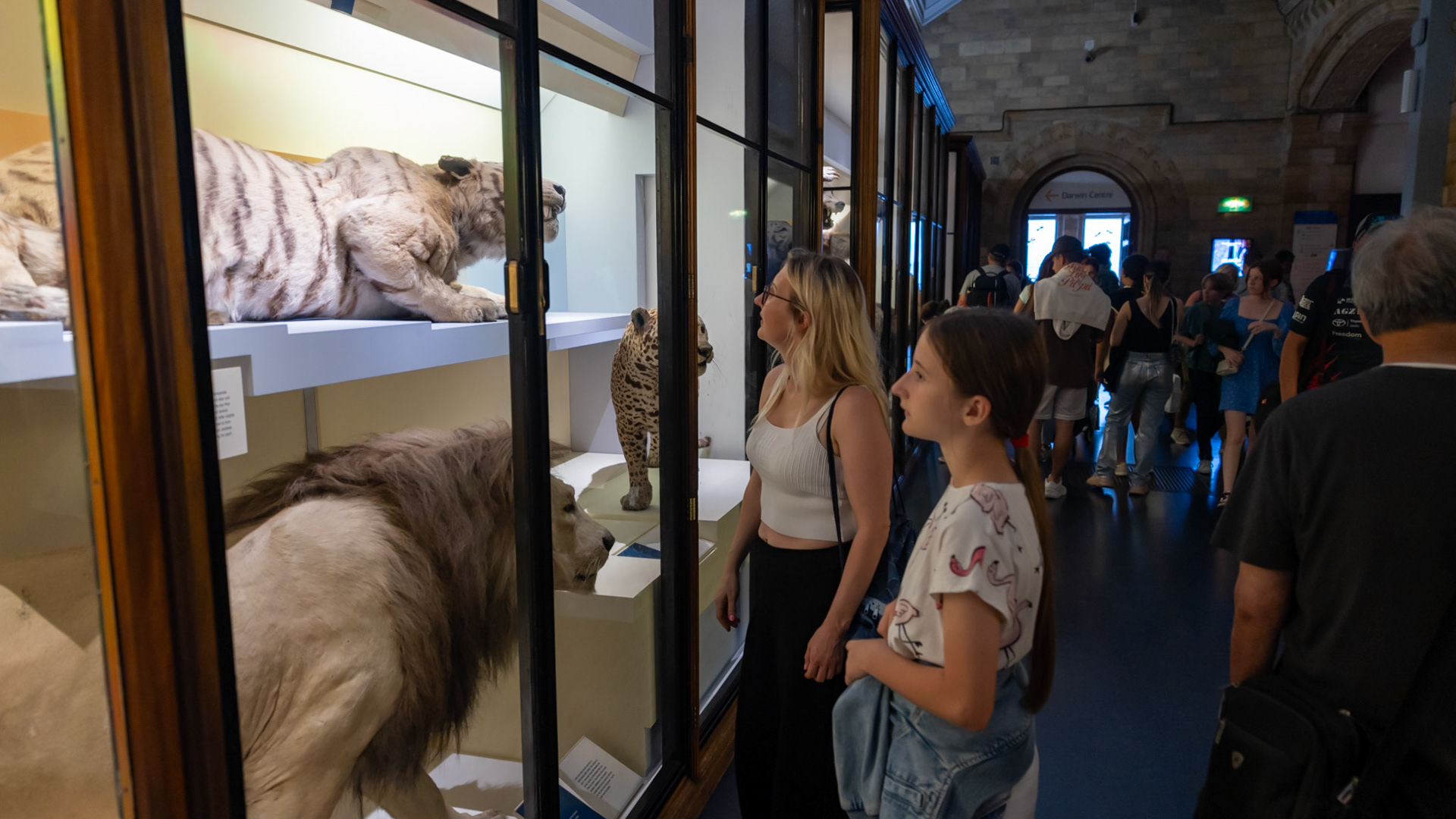 Natural History Museum. London, England. 2023.