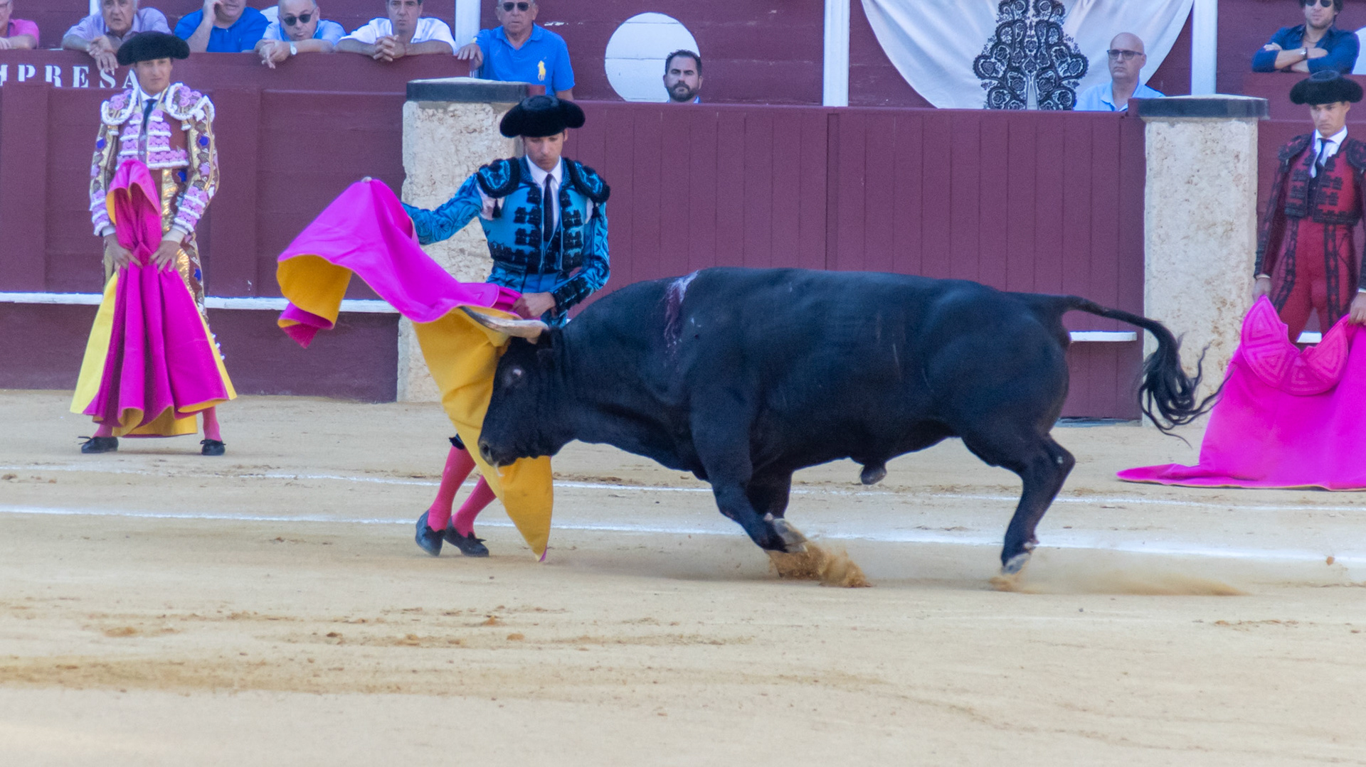 La Corrida Picassiana de Málaga. Málaga, Spain. 2022.