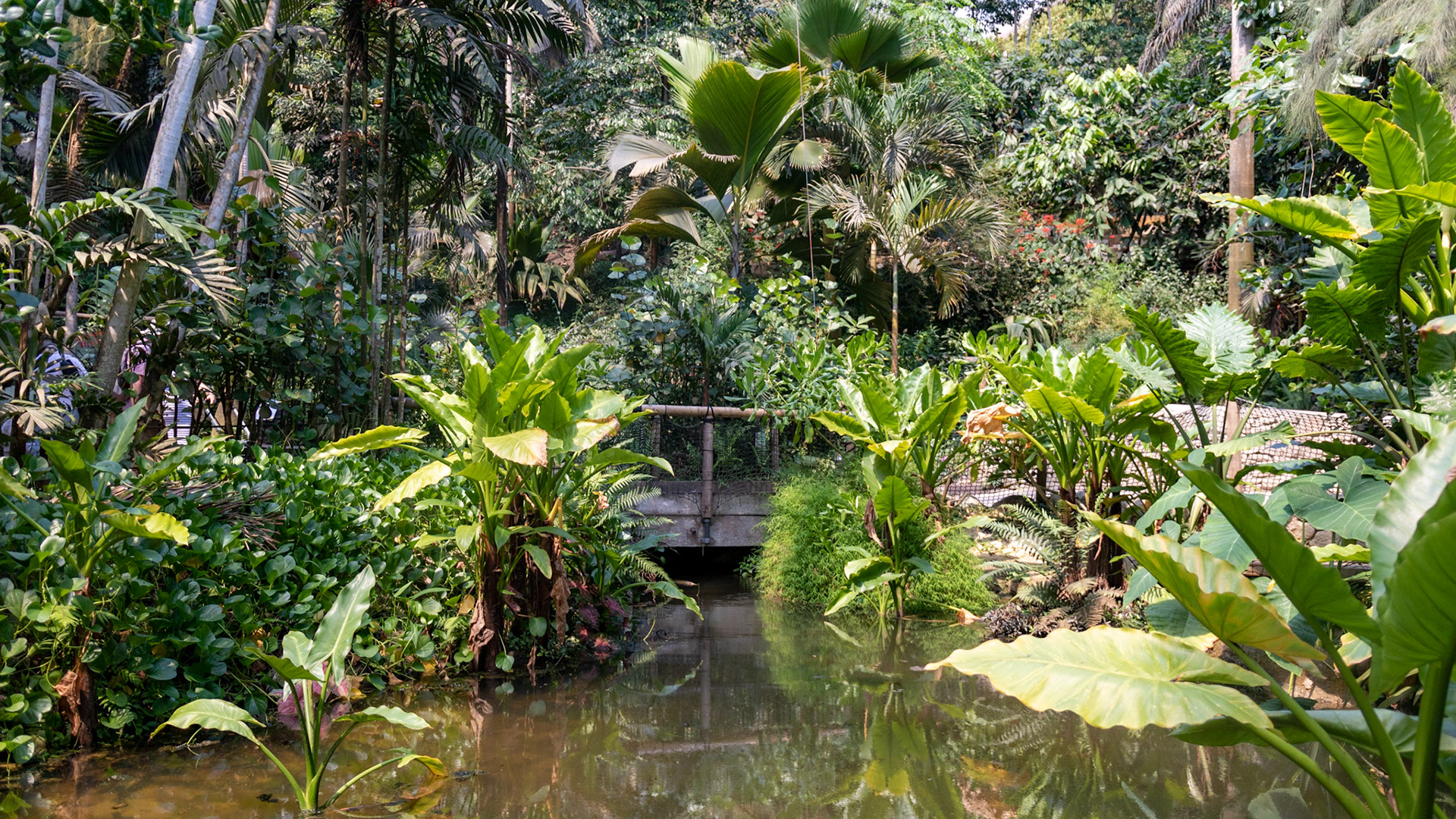 Eden Project. Cornwall, England. 2019.