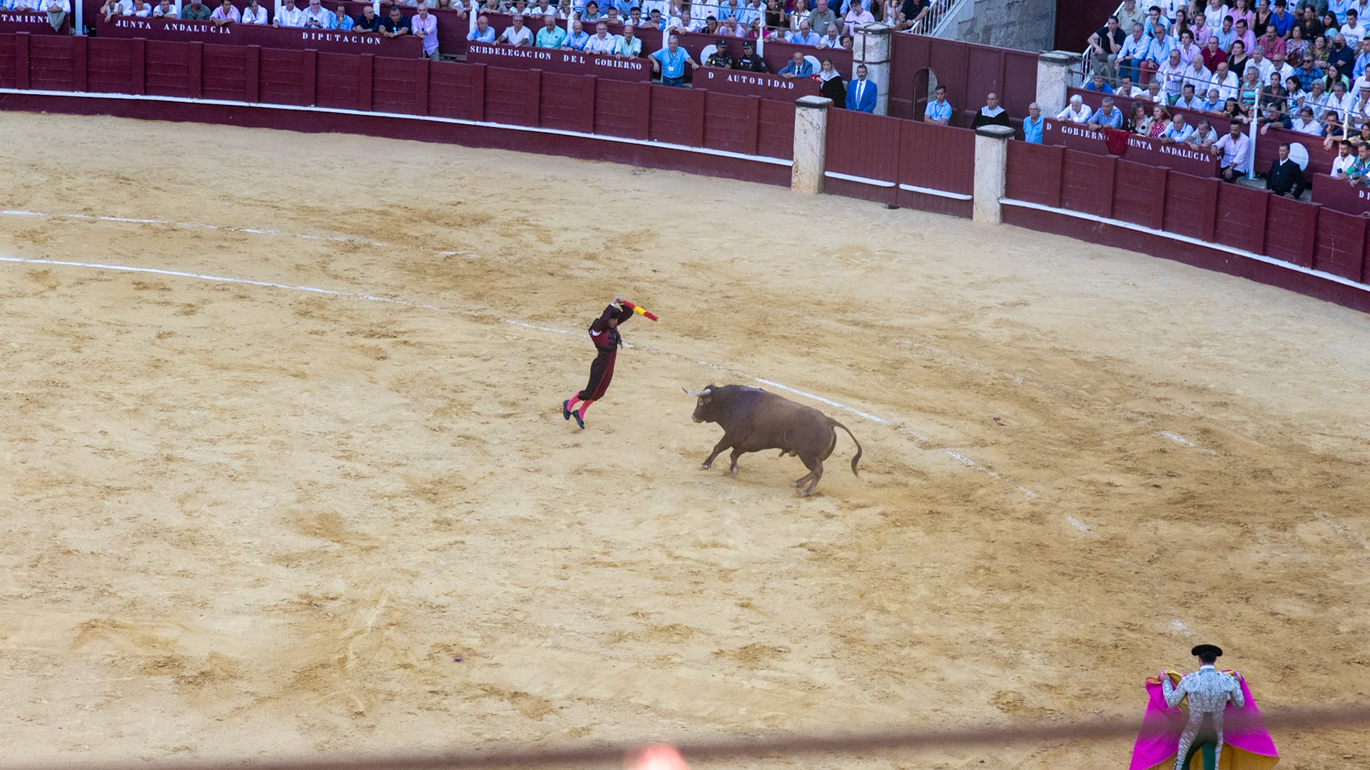 La Corrida de Málaga. Málaga, Spain. 2022.