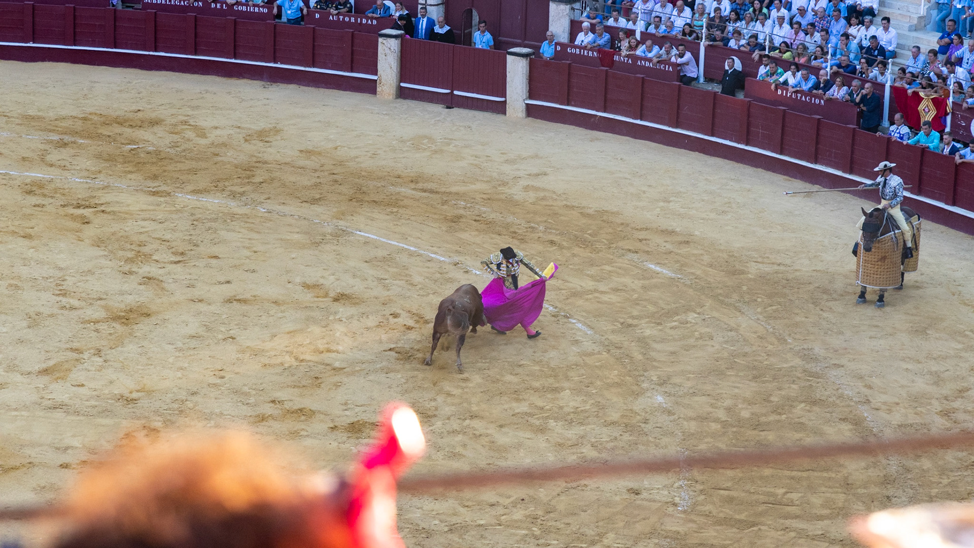La Corrida de Málaga. Málaga, Spain. 2022.