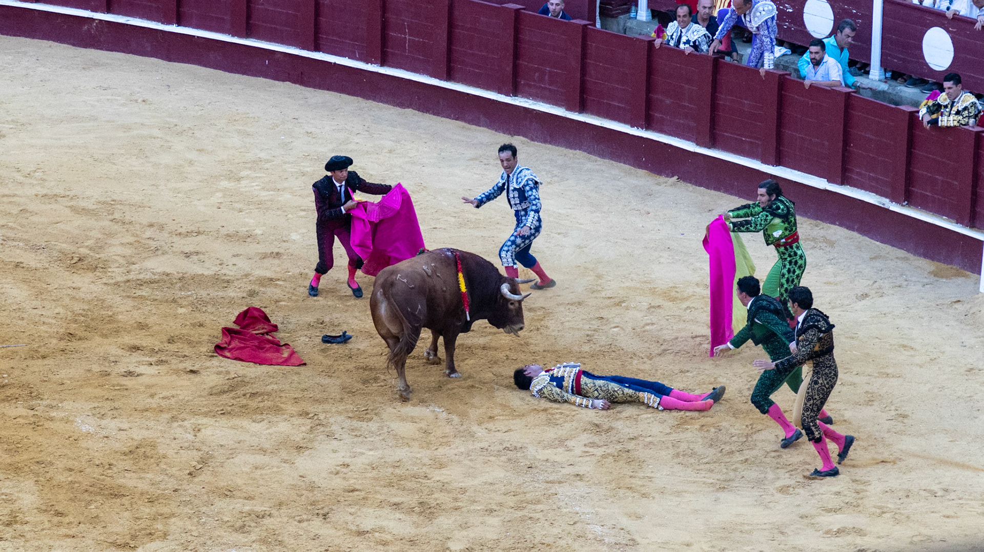 La Corrida de Málaga. Málaga, Spain. 2022.