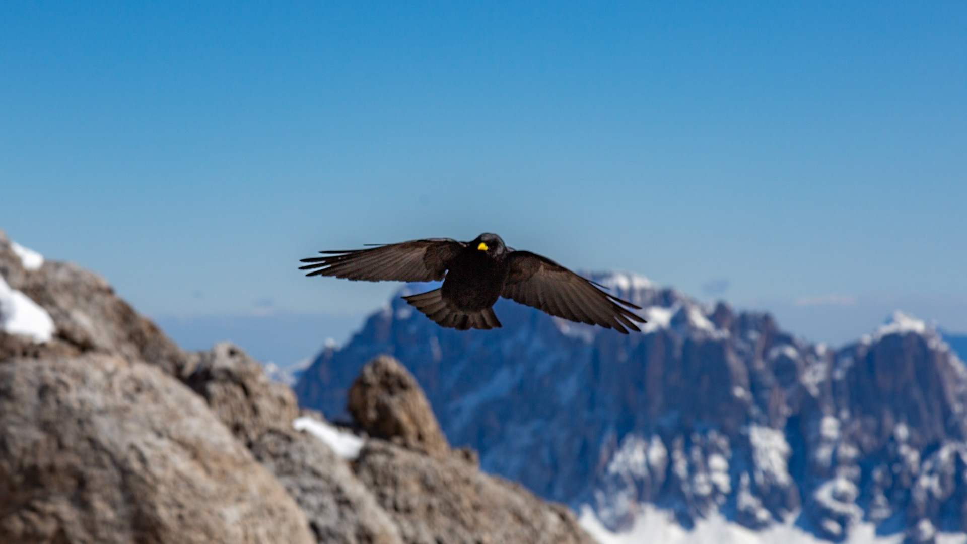Marmolada, Italy. 2019.