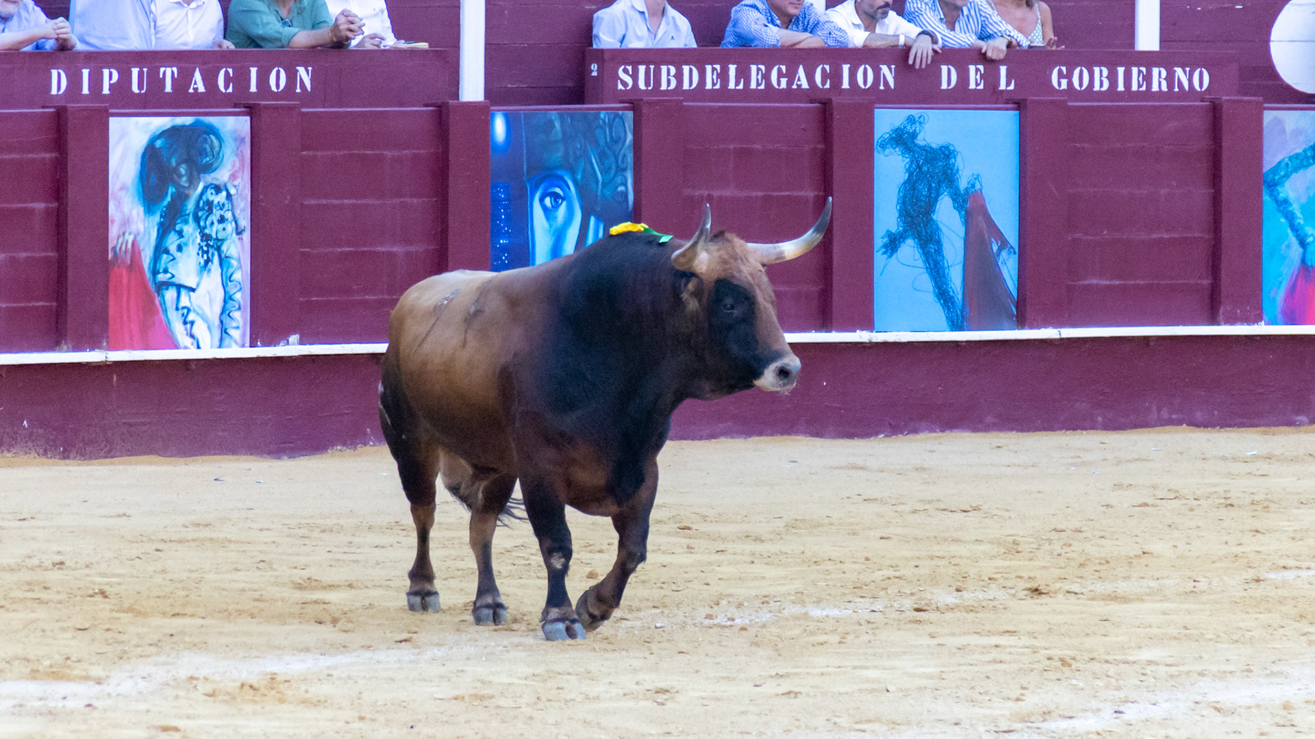 La Corrida Picassiana de Málaga. Málaga, Spain. 2022.